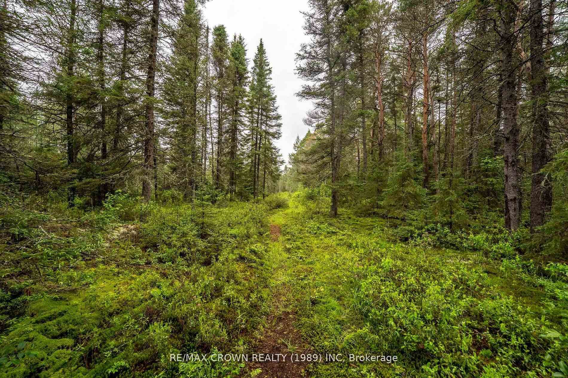Photo 46 of 734 Highway 522, Powassan — HOMEH