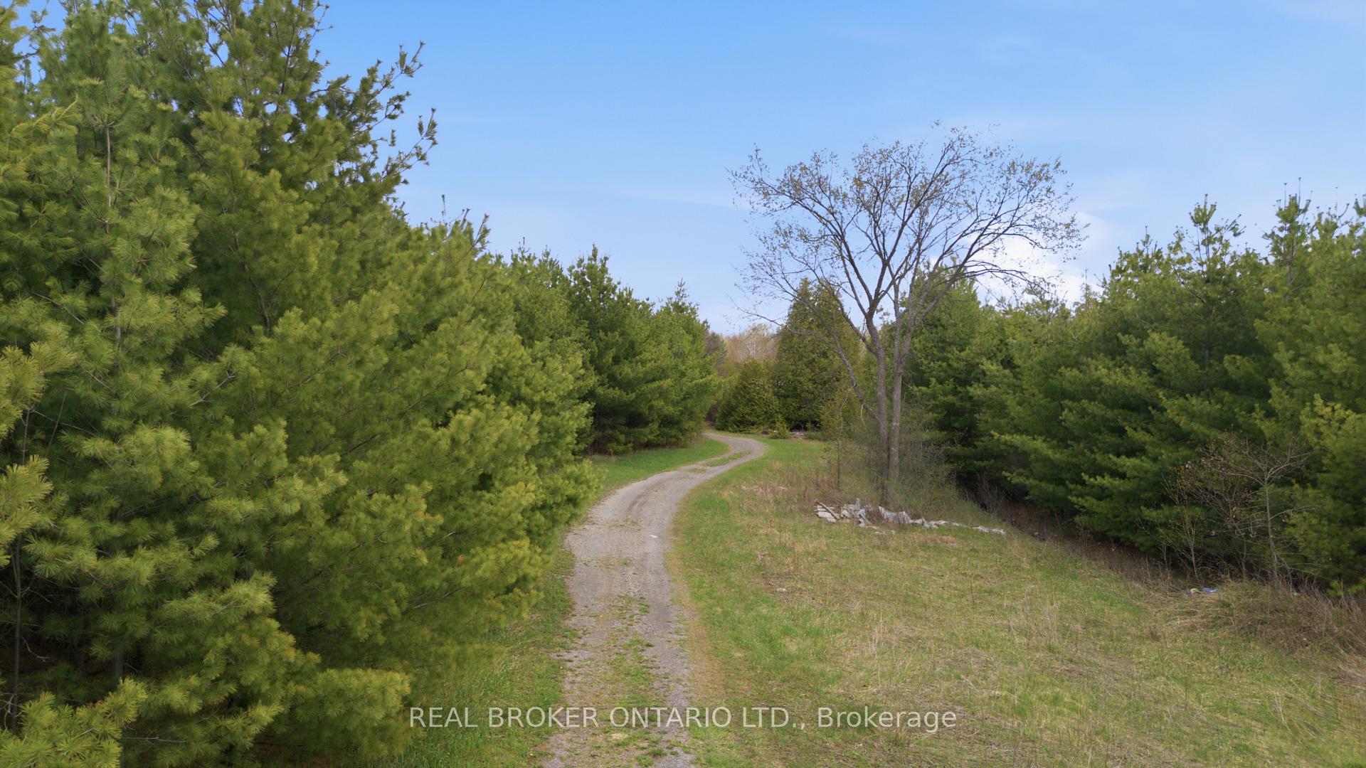 Photo 11 of 3115 Paden Road, Ottawa, Rideau Twp S of Reg Rd 6 W of Mccordick Rd. — HOMEH