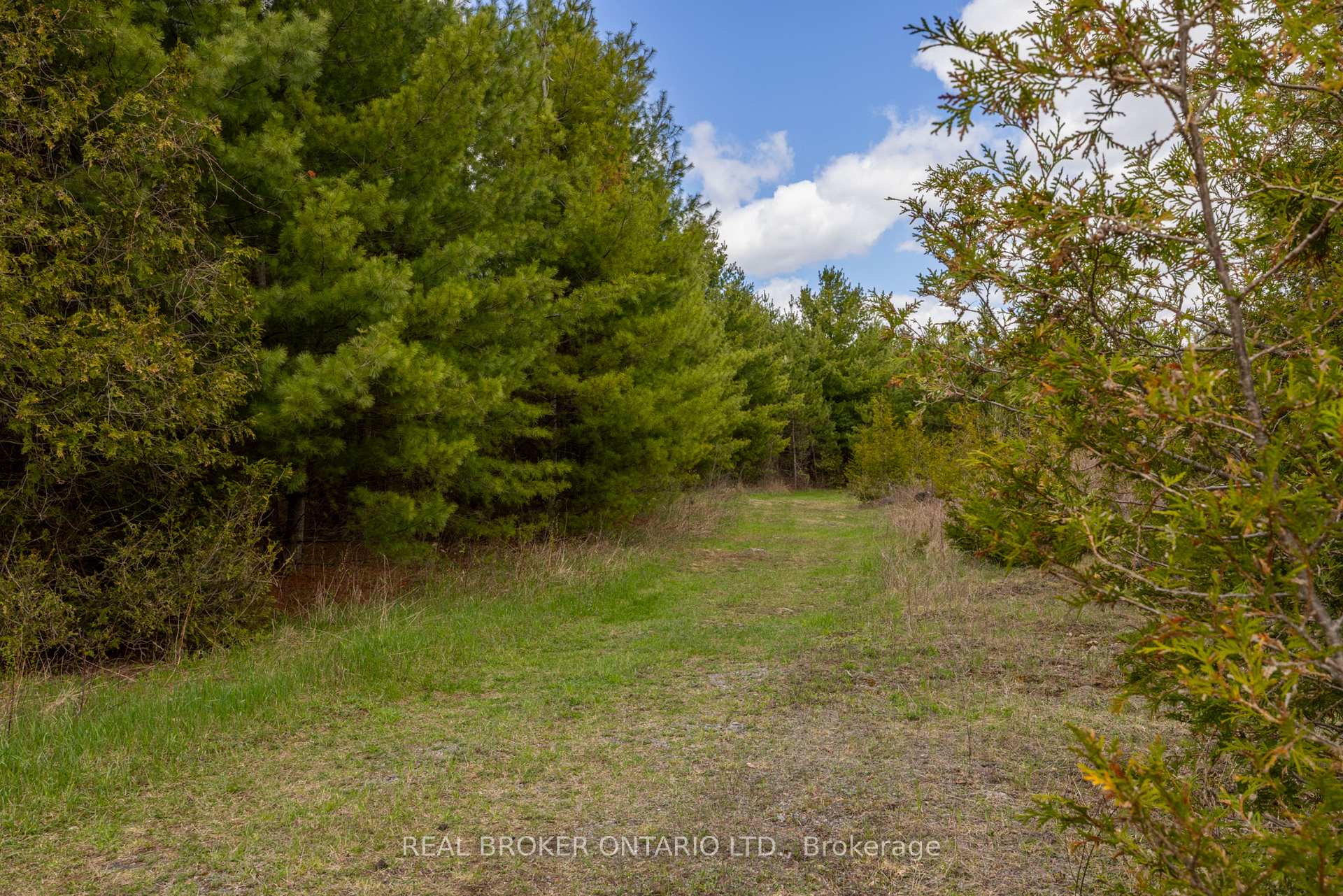 Photo 15 of 3115 Paden Road, Ottawa, Rideau Twp S of Reg Rd 6 W of Mccordick Rd. — HOMEH