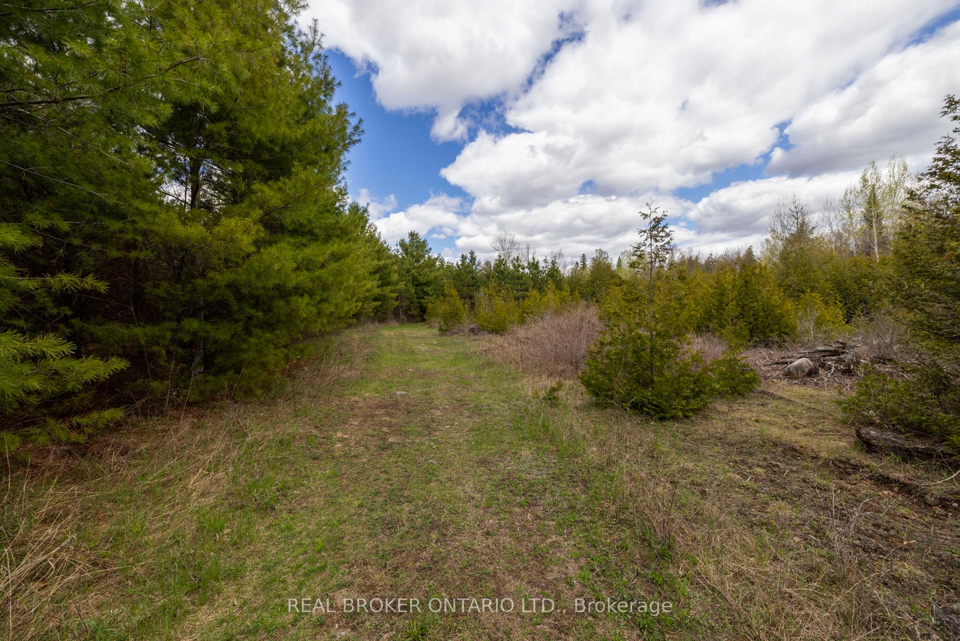 Photo 17 of 3115 Paden Road, Ottawa, Rideau Twp S of Reg Rd 6 W of Mccordick Rd. — HOMEH