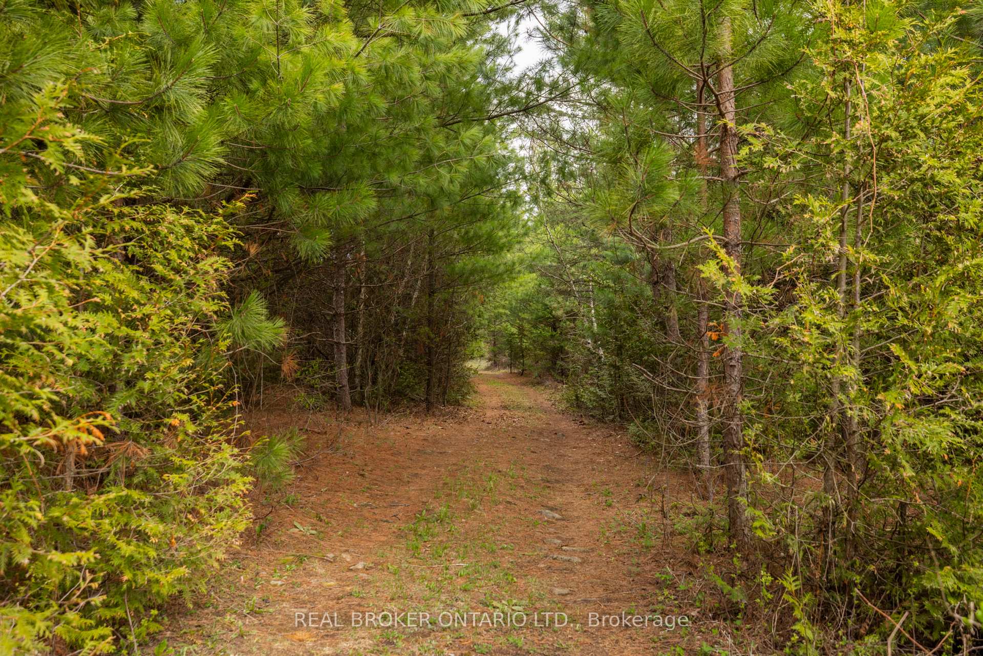 Photo 19 of 3115 Paden Road, Ottawa, Rideau Twp S of Reg Rd 6 W of Mccordick Rd. — HOMEH