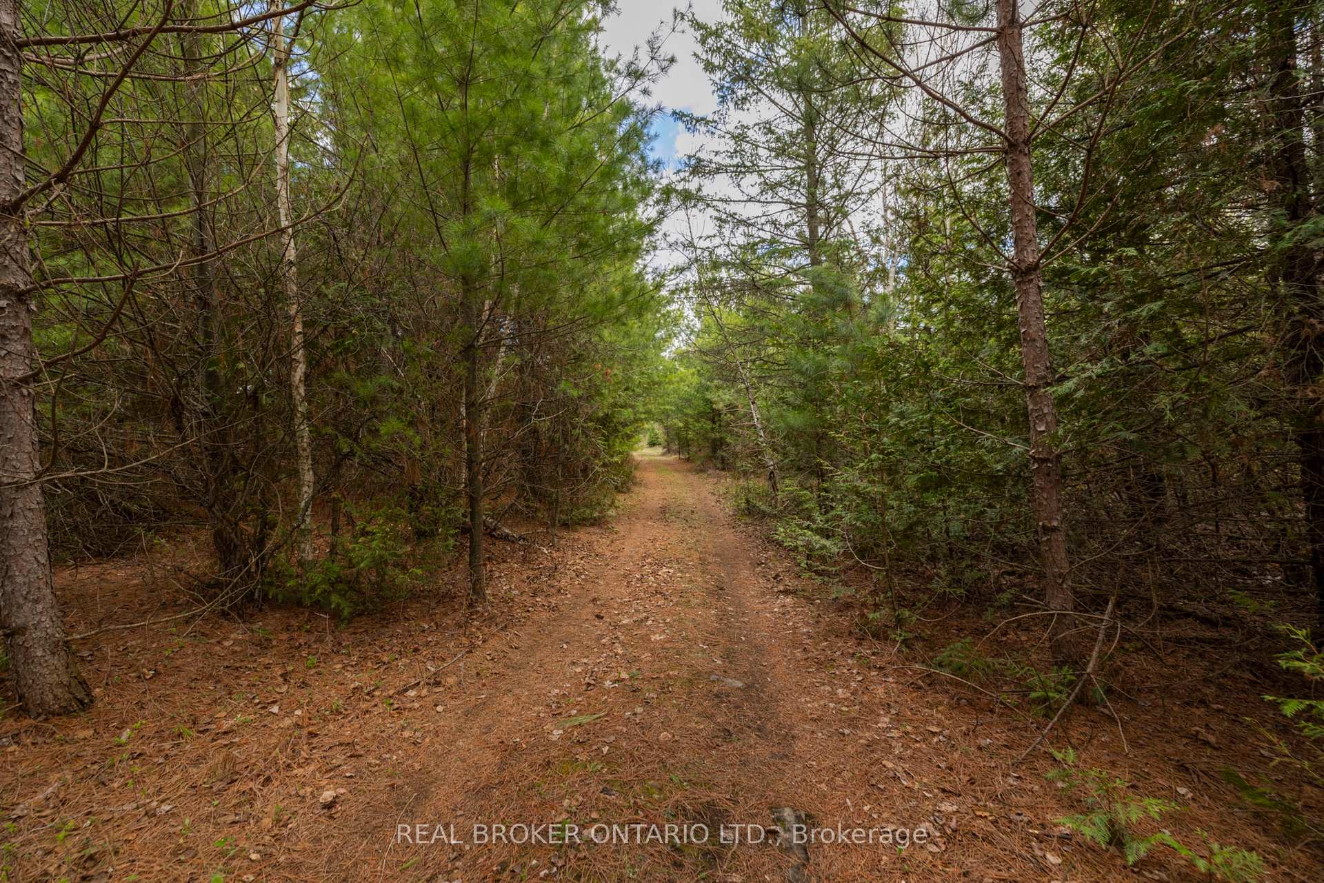 Photo 21 of 3115 Paden Road, Ottawa, Rideau Twp S of Reg Rd 6 W of Mccordick Rd. — HOMEH