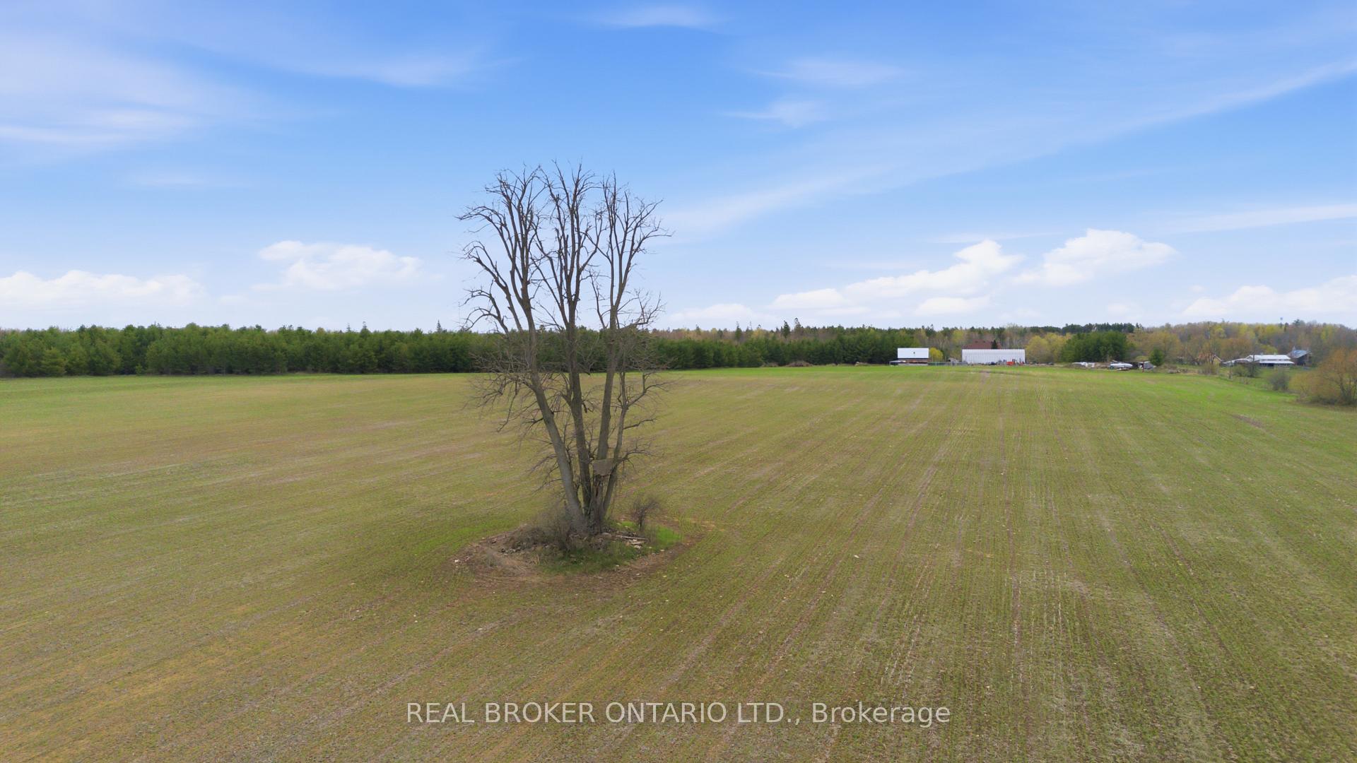 Photo 43 of 3115 Paden Road, Ottawa, Rideau Twp S of Reg Rd 6 W of Mccordick Rd. — HOMEH