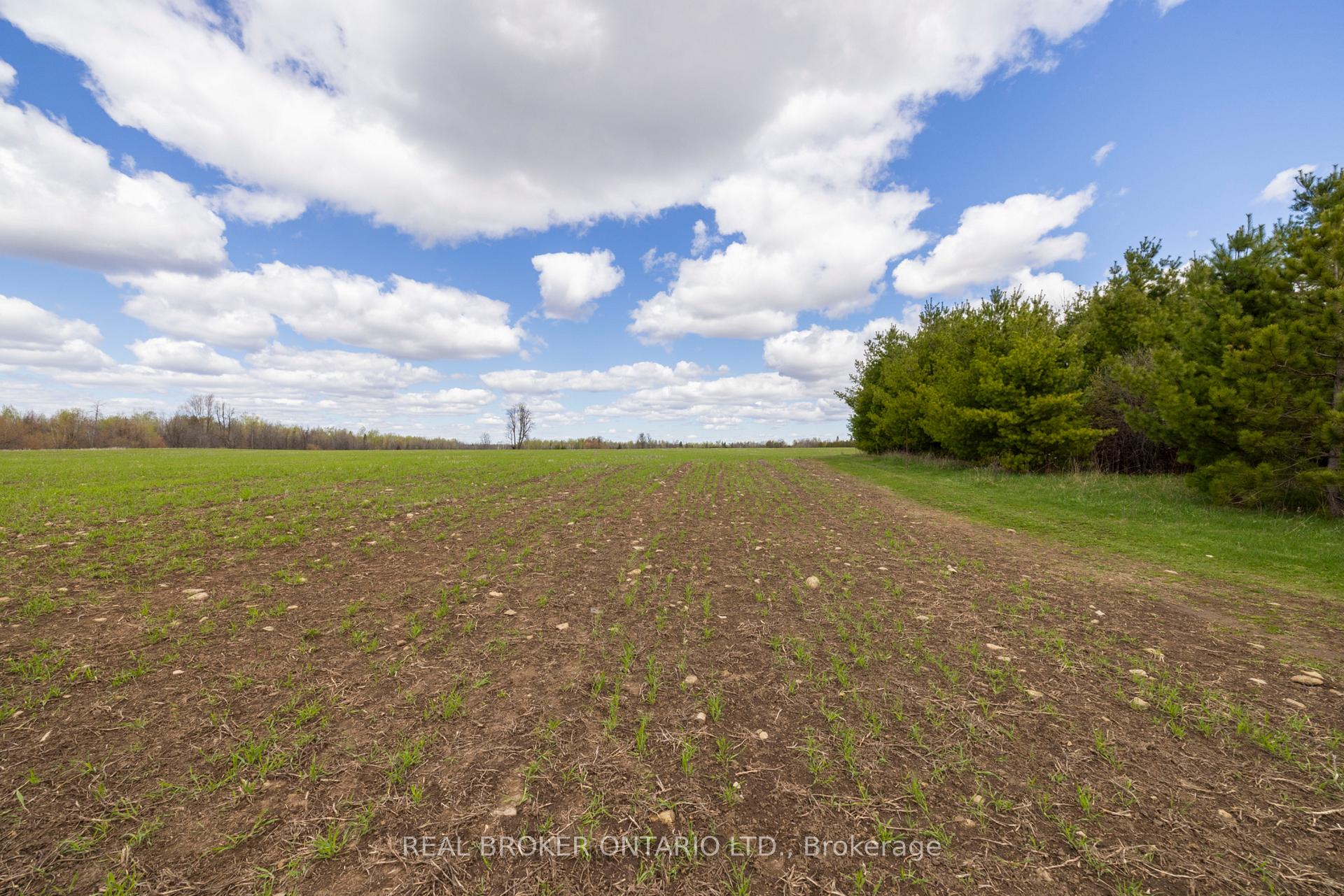 Photo 38 of 3115 Paden Road, Ottawa, Rideau Twp S of Reg Rd 6 W of Mccordick Rd. — HOMEH