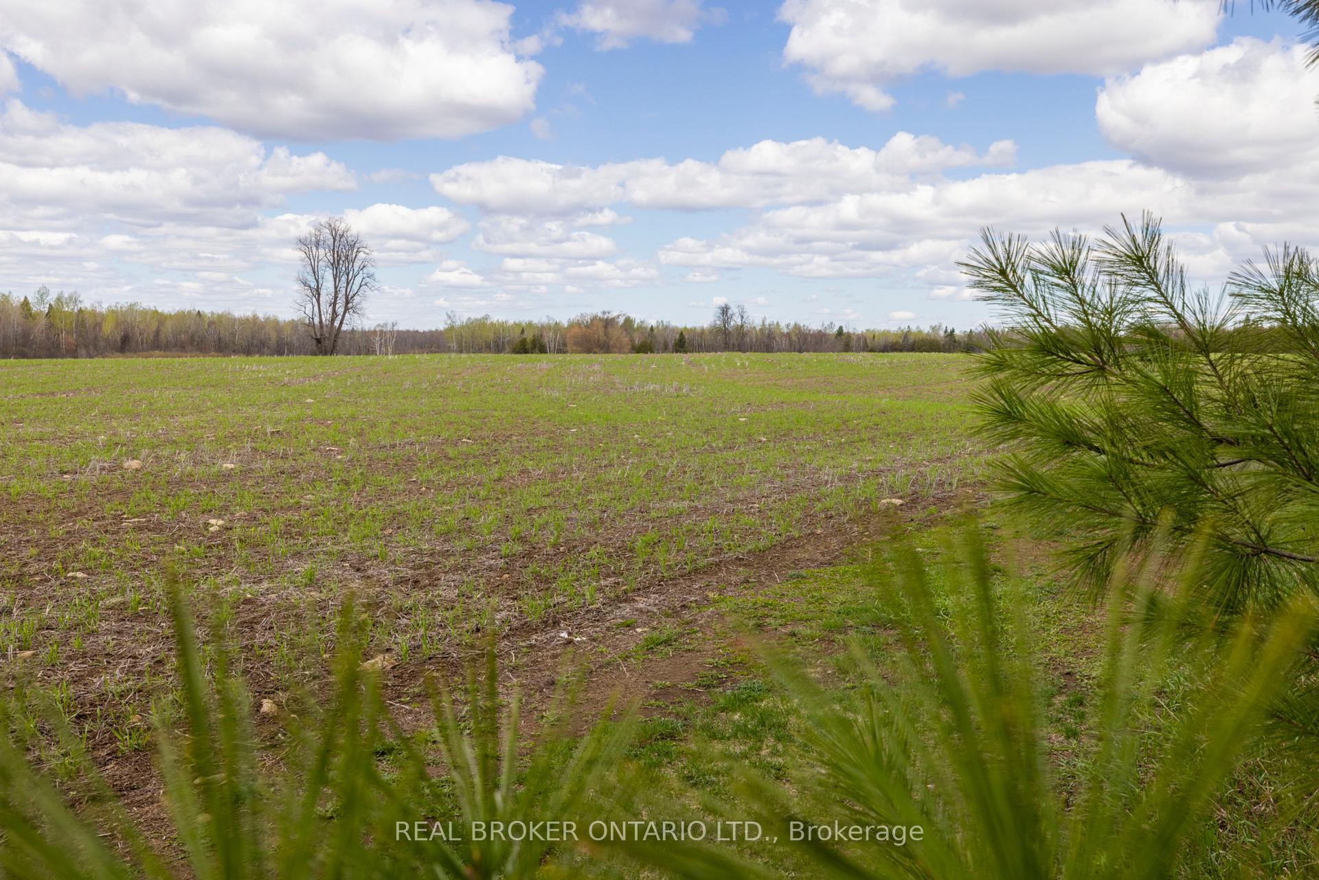 Photo 39 of 3115 Paden Road, Ottawa, Rideau Twp S of Reg Rd 6 W of Mccordick Rd. — HOMEH