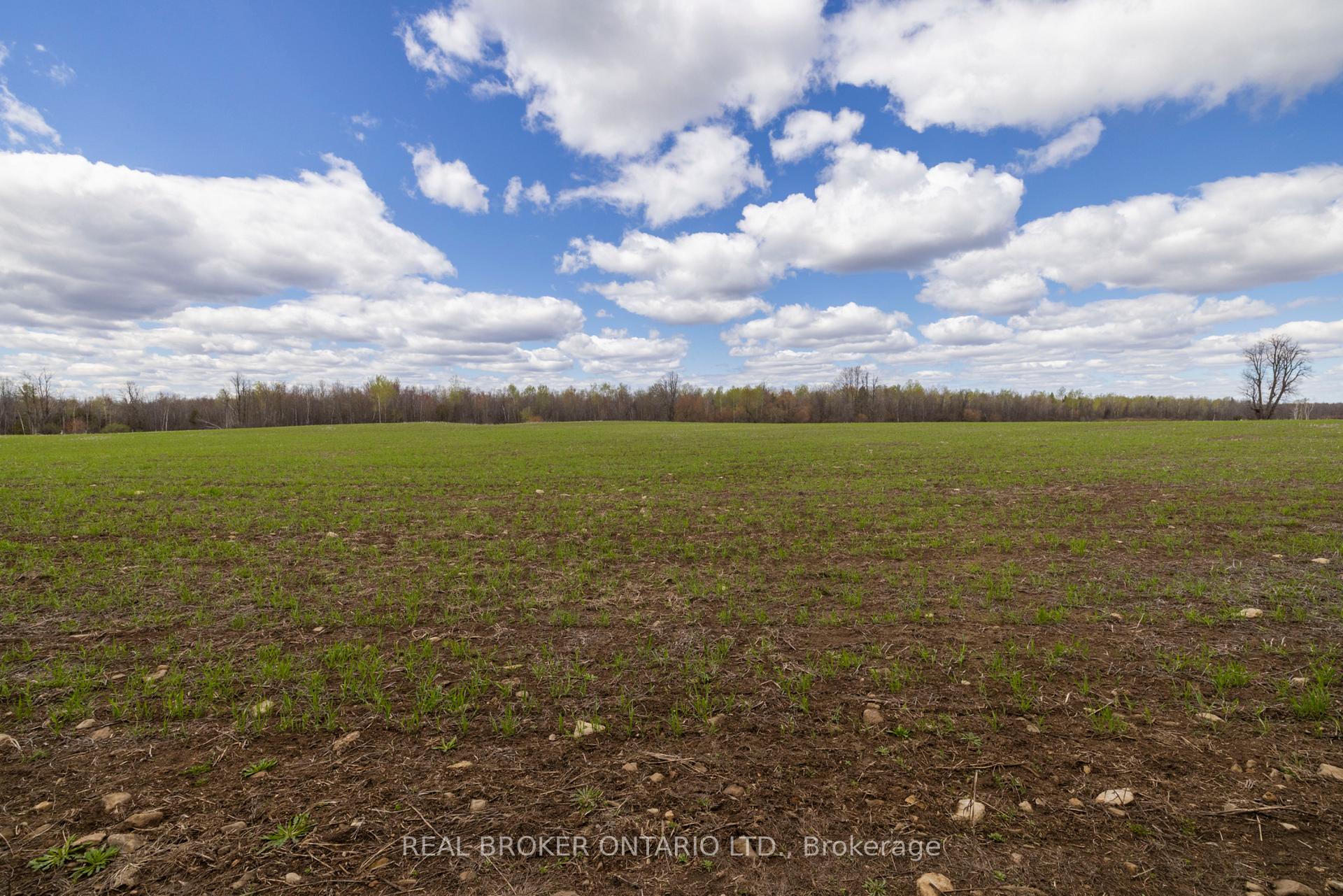 Photo 41 of 3115 Paden Road, Ottawa, Rideau Twp S of Reg Rd 6 W of Mccordick Rd. — HOMEH