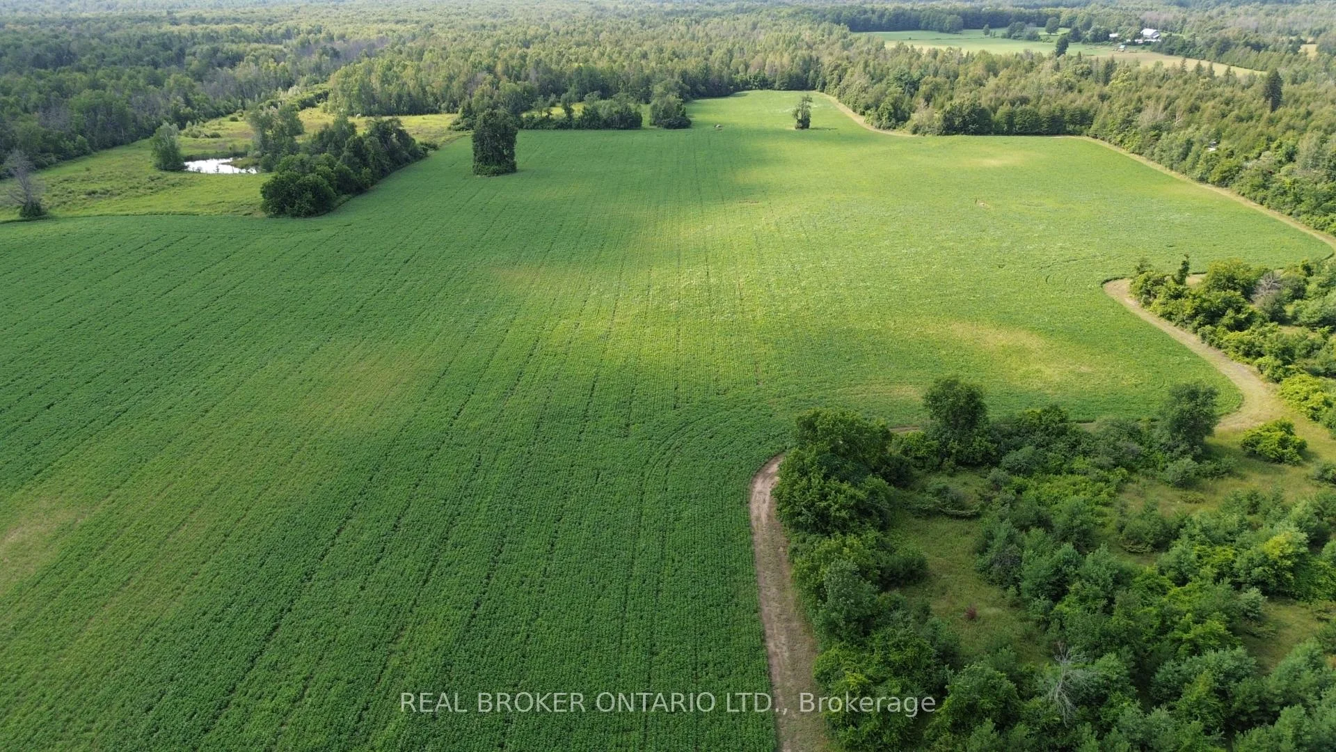 Photo 1 of 3115 Paden Road, Ottawa, Rideau Twp S of Reg Rd 6 W of Mccordick Rd. — HOMEH
