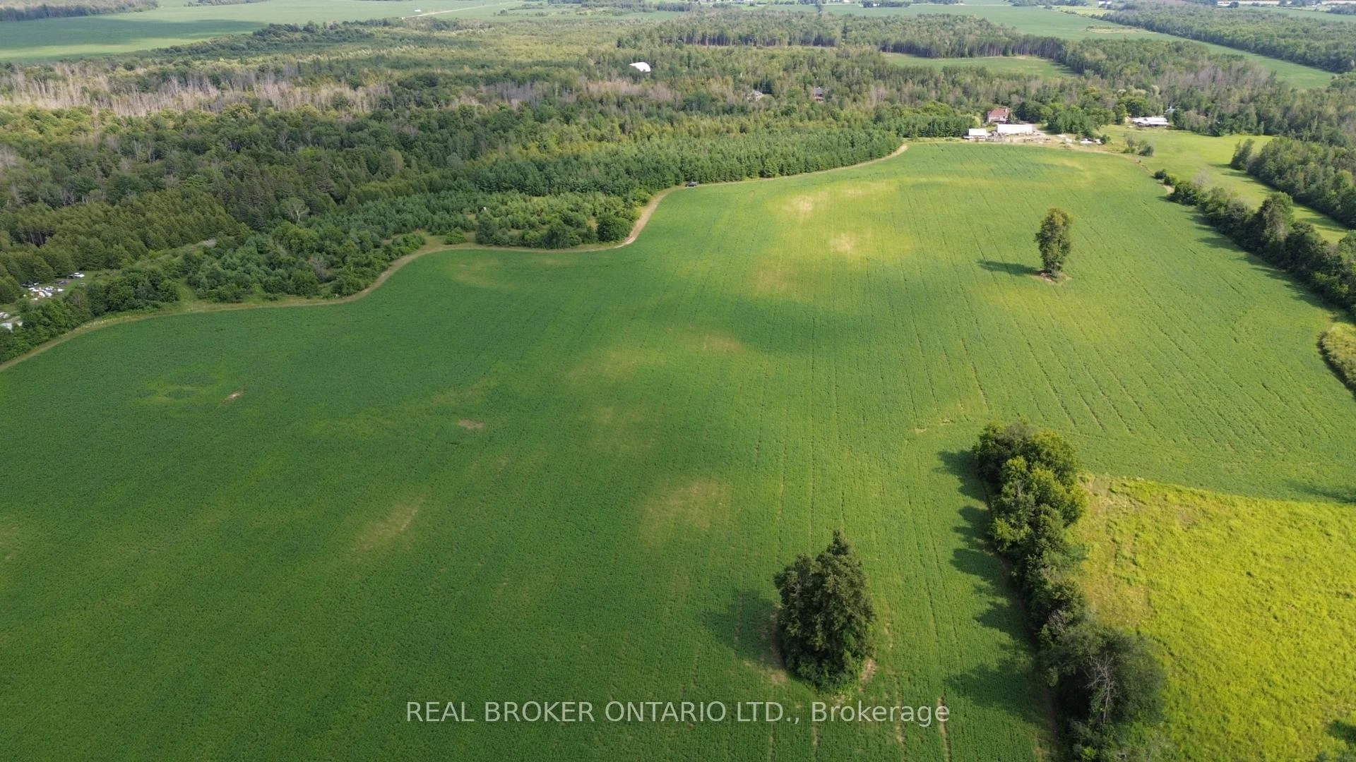 Photo 3 of 3115 Paden Road, Ottawa, Rideau Twp S of Reg Rd 6 W of Mccordick Rd. — HOMEH