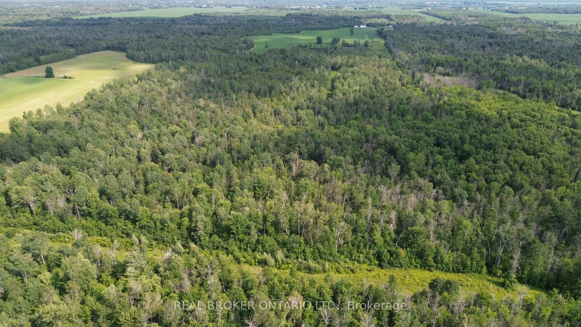 Photo 5 of 3115 Paden Road, Ottawa, Rideau Twp S of Reg Rd 6 W of Mccordick Rd. — HOMEH