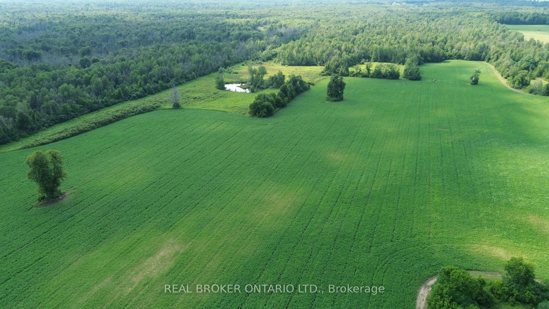 Photo 9 of 3115 Paden Road, Ottawa, Rideau Twp S of Reg Rd 6 W of Mccordick Rd. — HOMEH