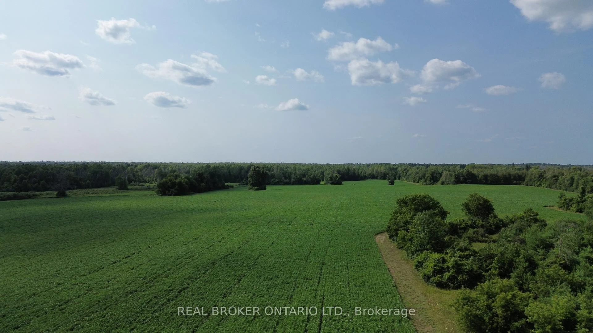 Photo 10 of 3115 Paden Road, Ottawa, Rideau Twp S of Reg Rd 6 W of Mccordick Rd. — HOMEH
