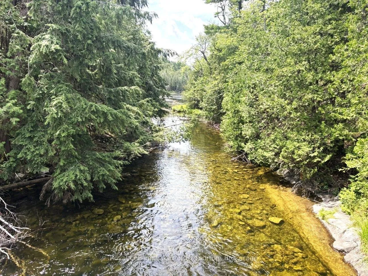 Photo of Beside 1456 Crystal Lake Road