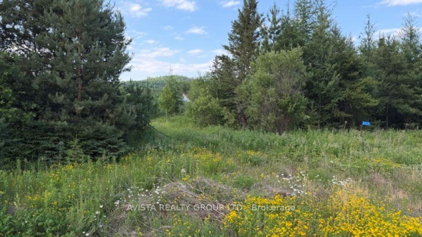 Photo of 6525 Hwy 61