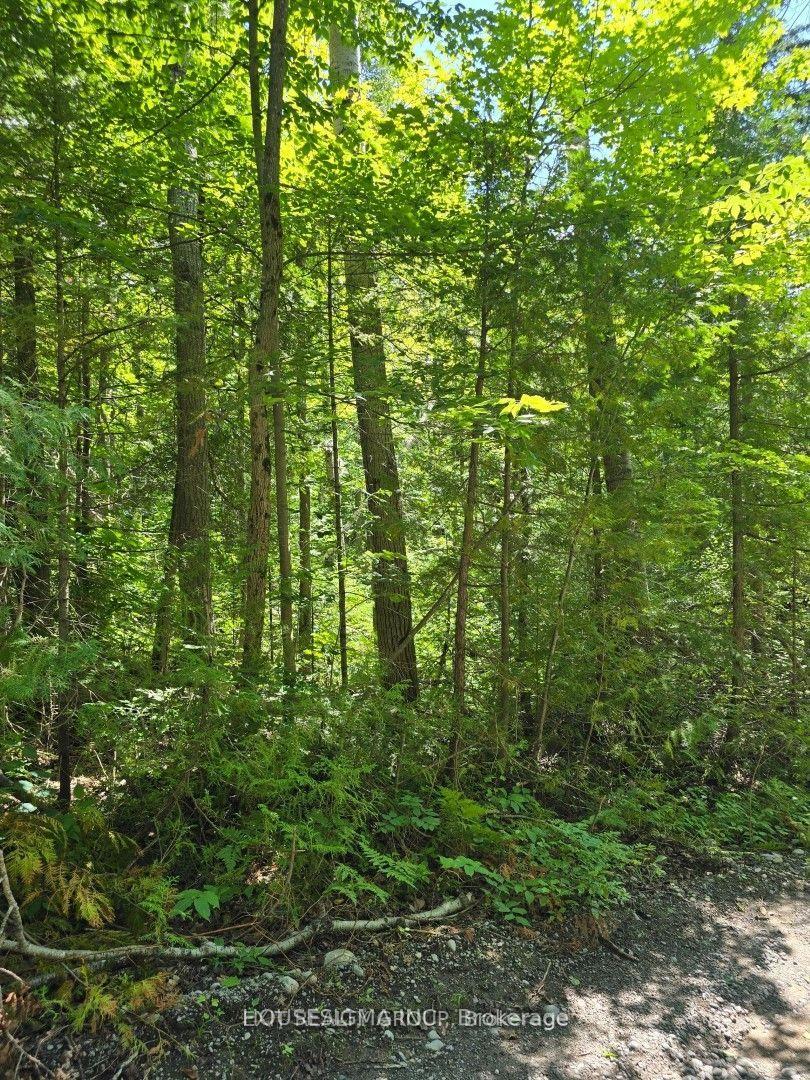 Photo of PT LT 3 Concession 8 PT 123