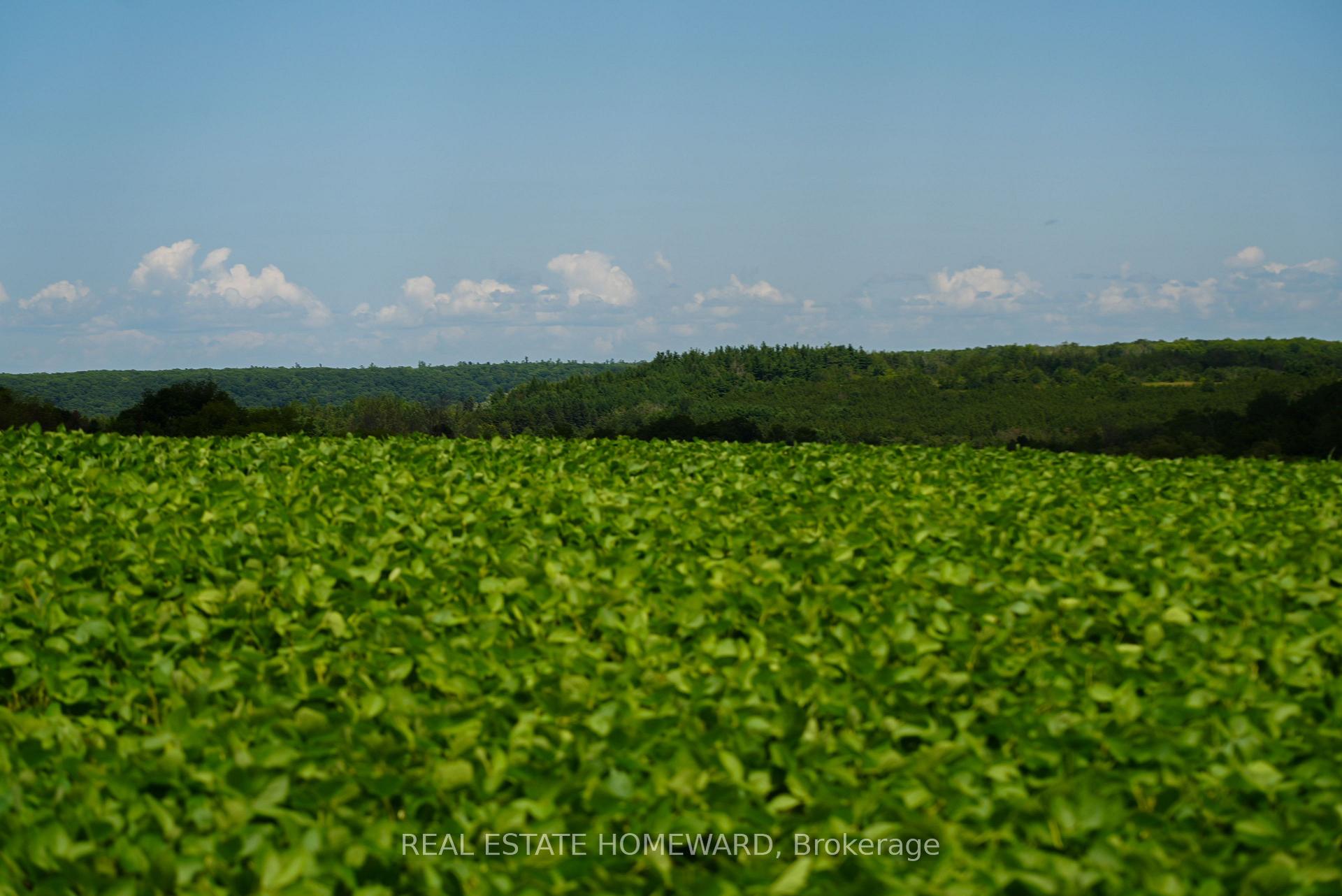 Photo 30 of 937082 Airport Road W, Mulmur, Rural Mulmur — HOMEH