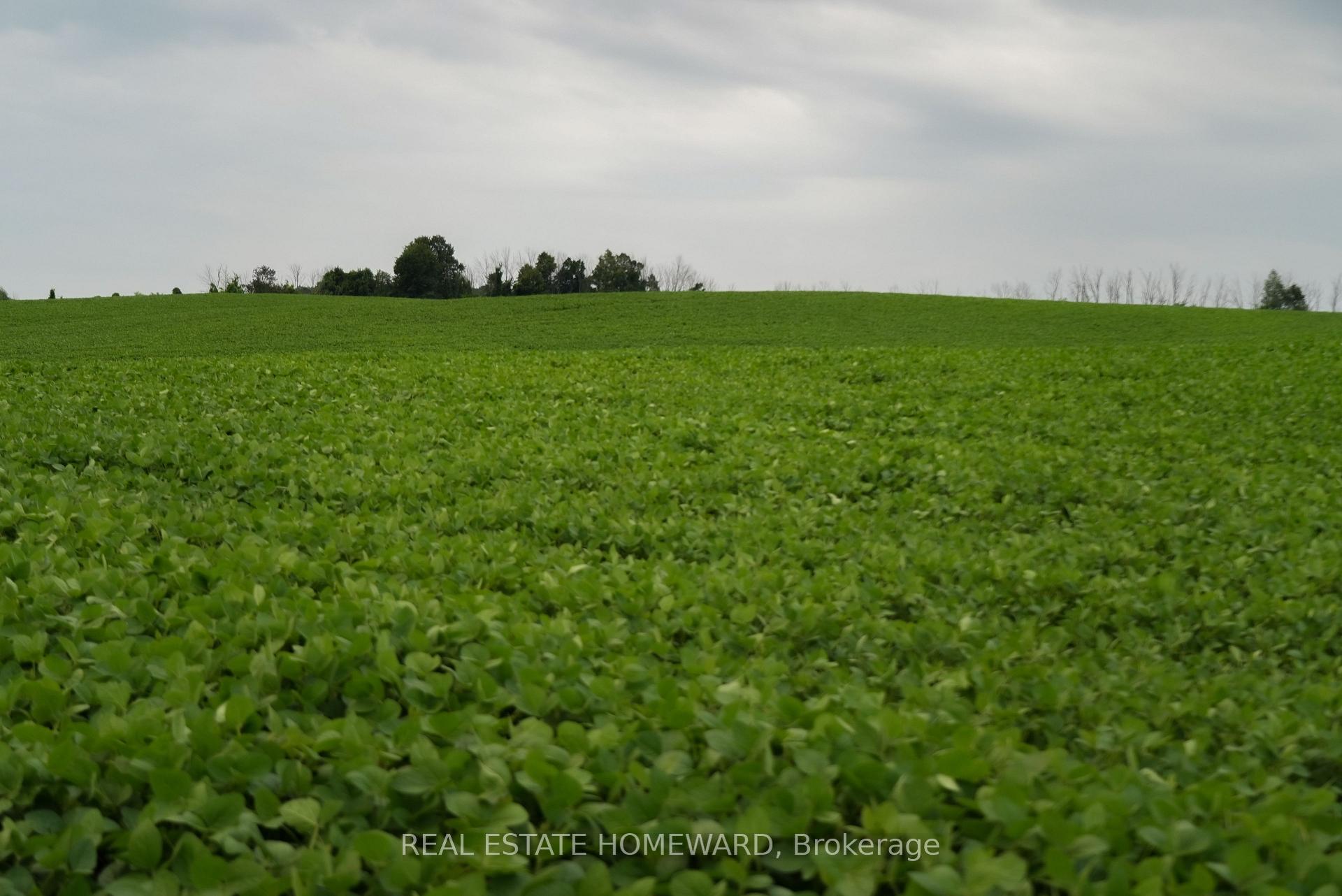 Photo 15 of 937082 Airport Road W, Mulmur, Rural Mulmur — HOMEH
