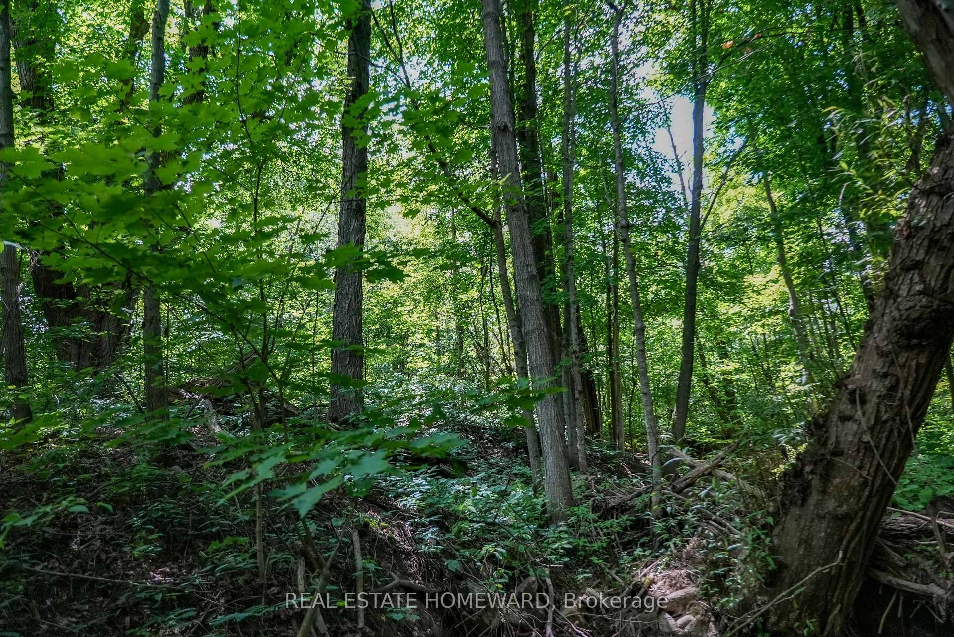 Photo 34 of 937082 Airport Road W, Mulmur, Rural Mulmur — HOMEH