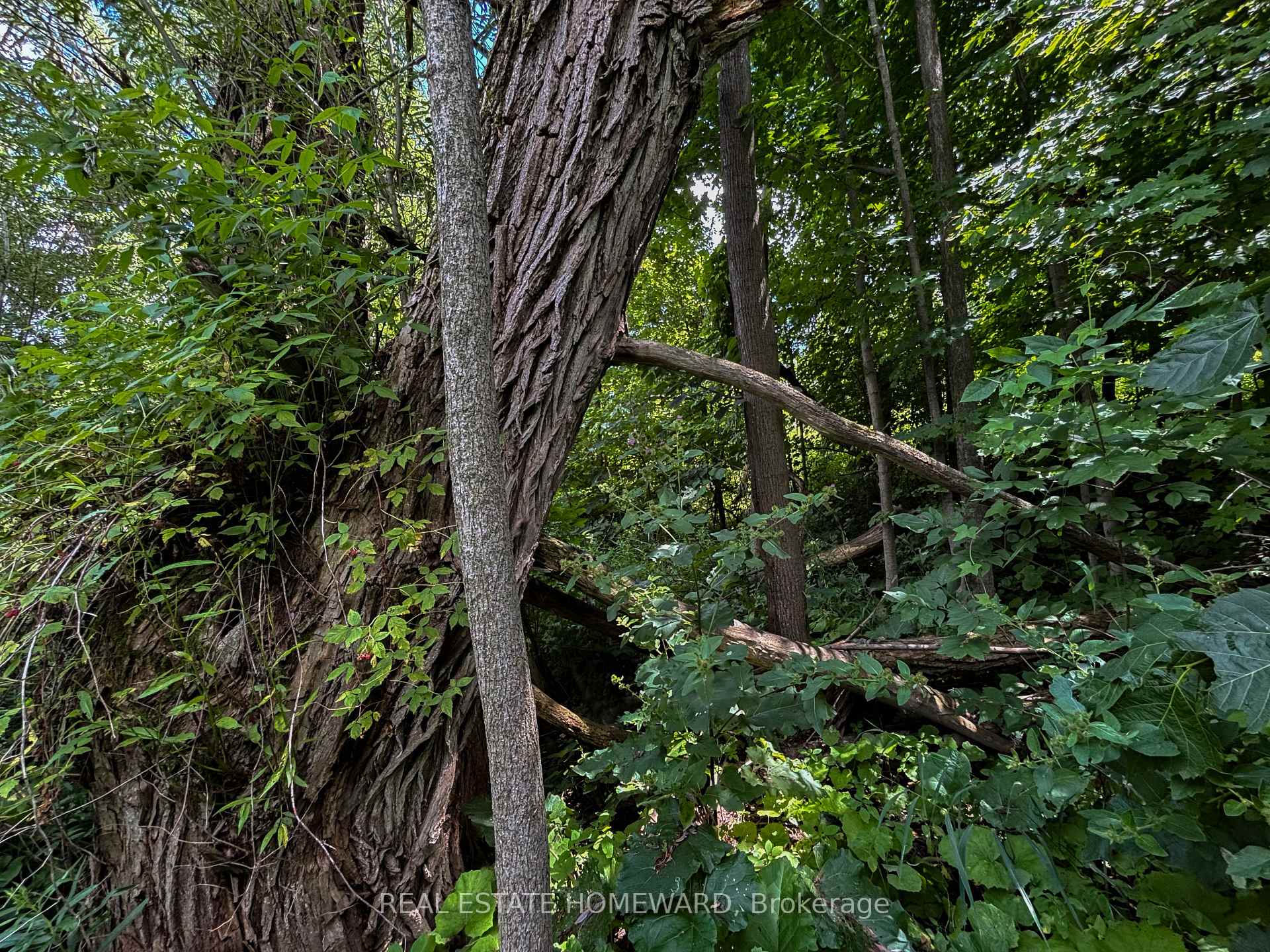 Photo 35 of 937082 Airport Road W, Mulmur, Rural Mulmur — HOMEH
