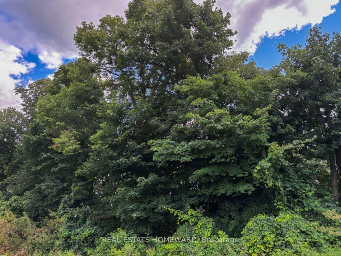 Photo 41 of 937082 Airport Road W, Mulmur, Rural Mulmur — HOMEH