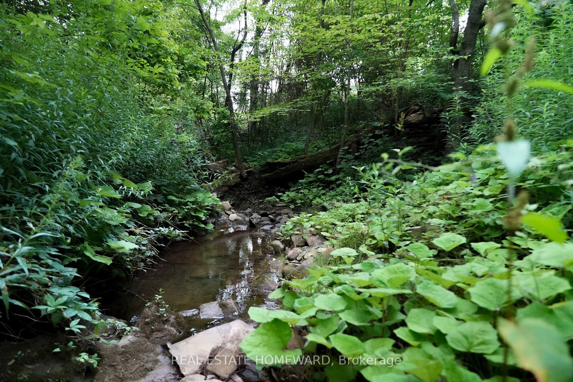 Photo 48 of 937082 Airport Road W, Mulmur, Rural Mulmur — HOMEH