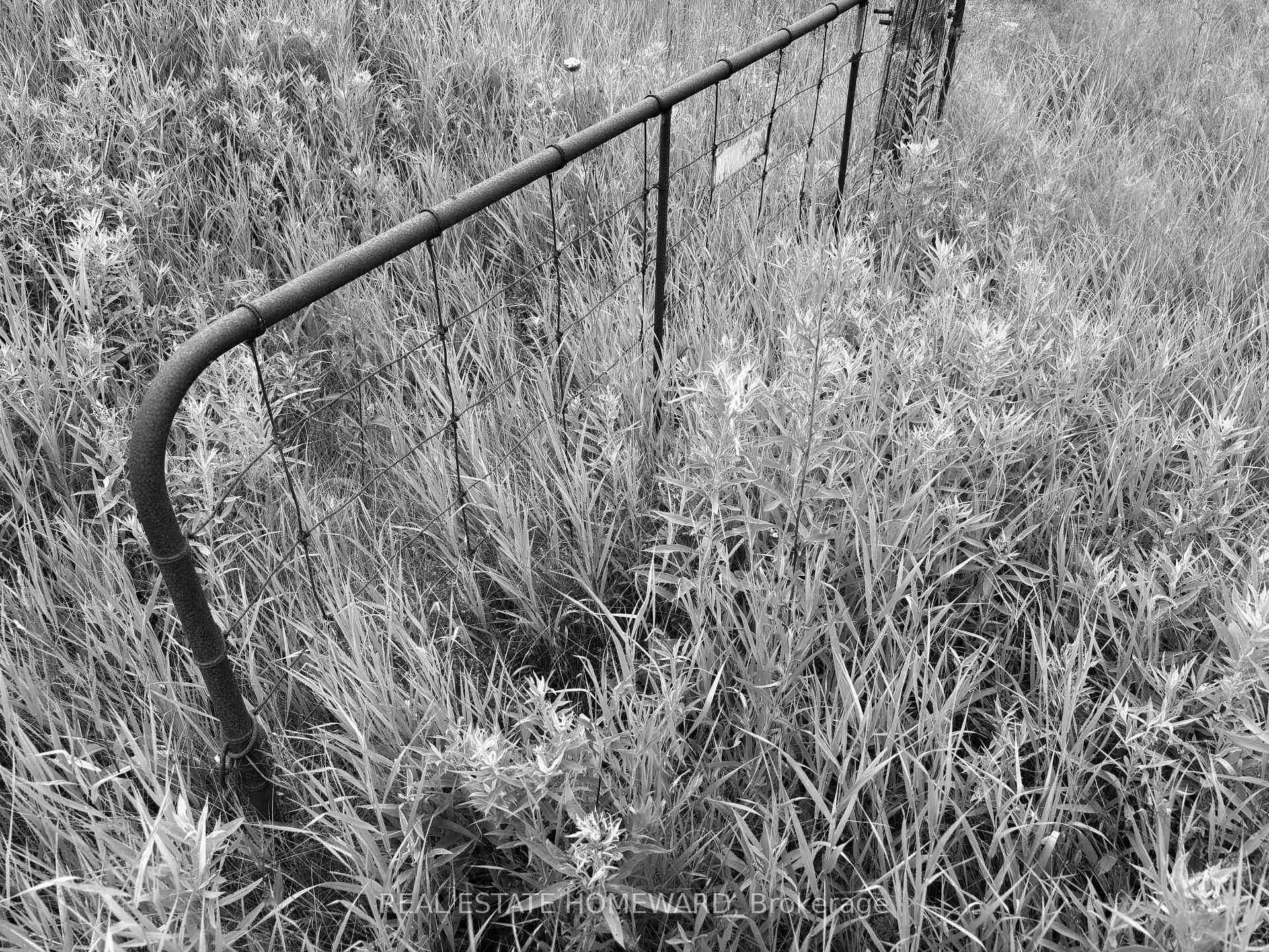 Photo 64 of 937082 Airport Road W, Mulmur, Rural Mulmur — HOMEH