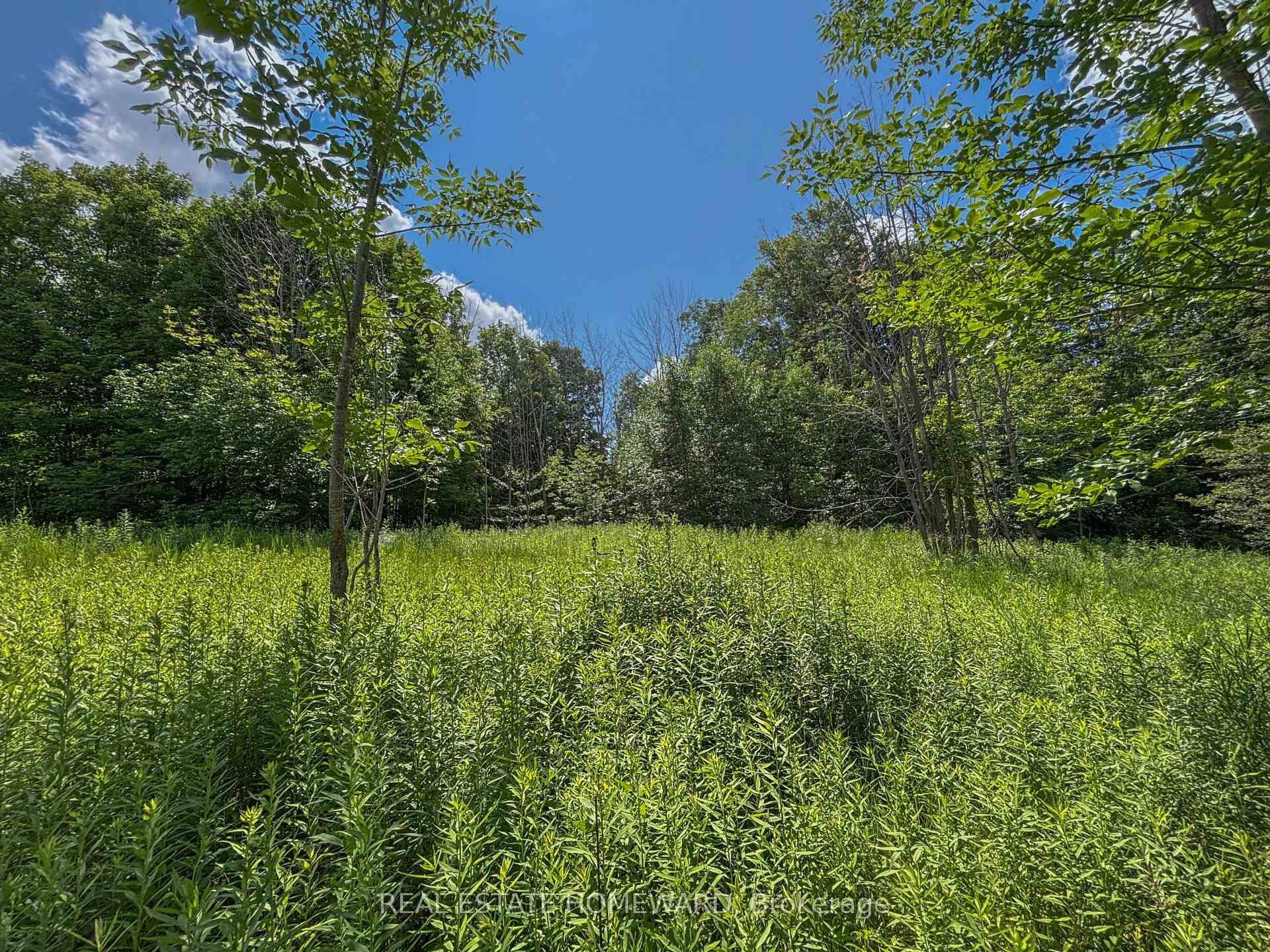 Photo 44 of 937082 Airport Road W, Mulmur, Rural Mulmur — HOMEH