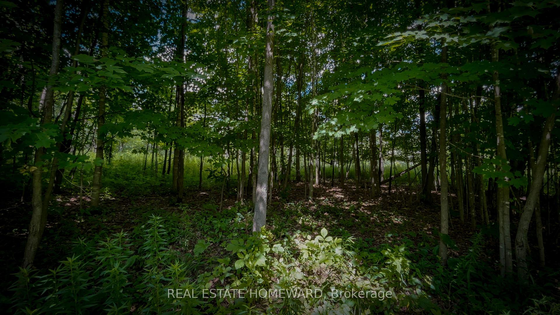 Photo 53 of 937082 Airport Road W, Mulmur, Rural Mulmur — HOMEH