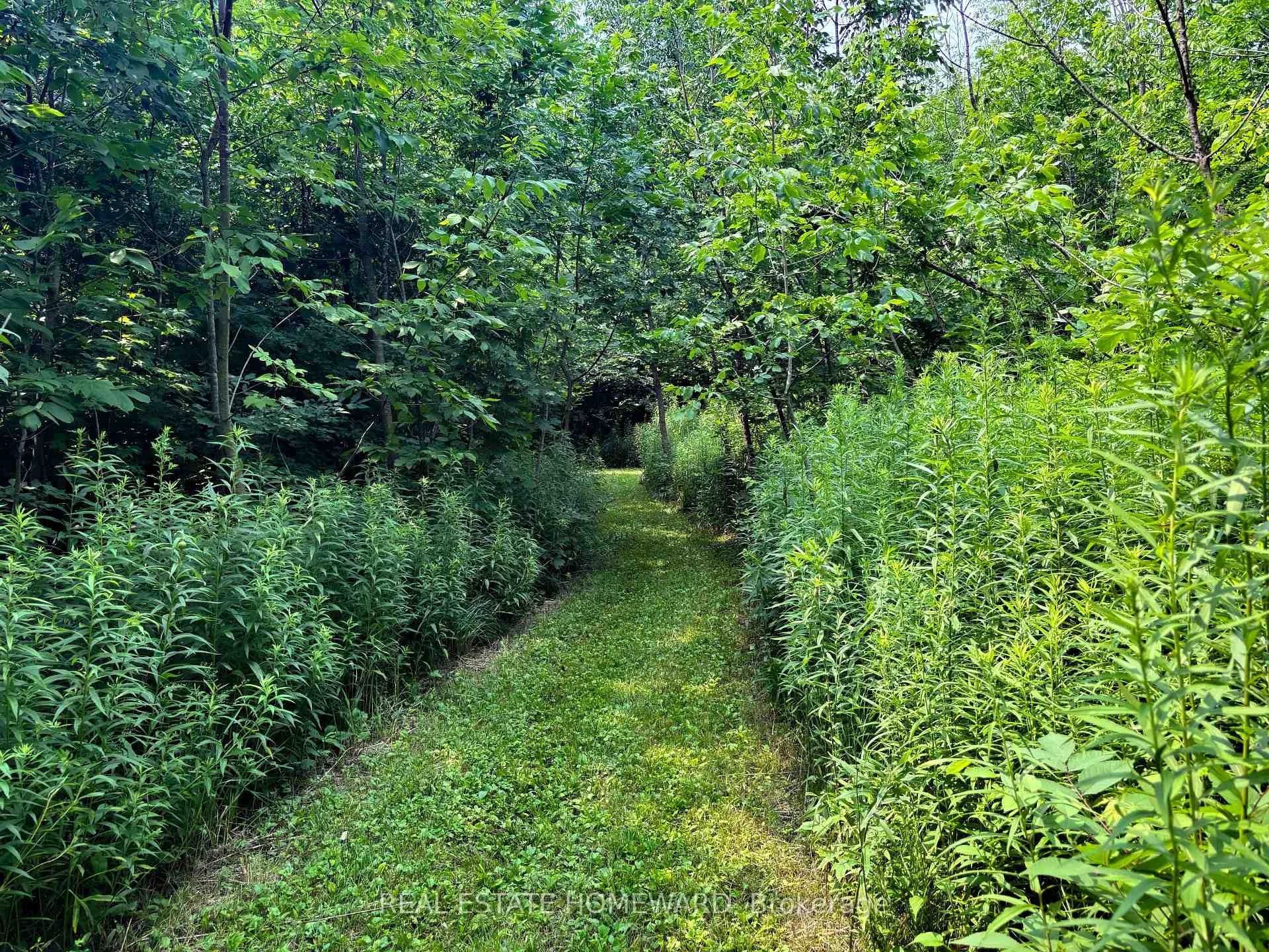 Photo 6 of 937082 Airport Road W, Mulmur, Rural Mulmur — HOMEH