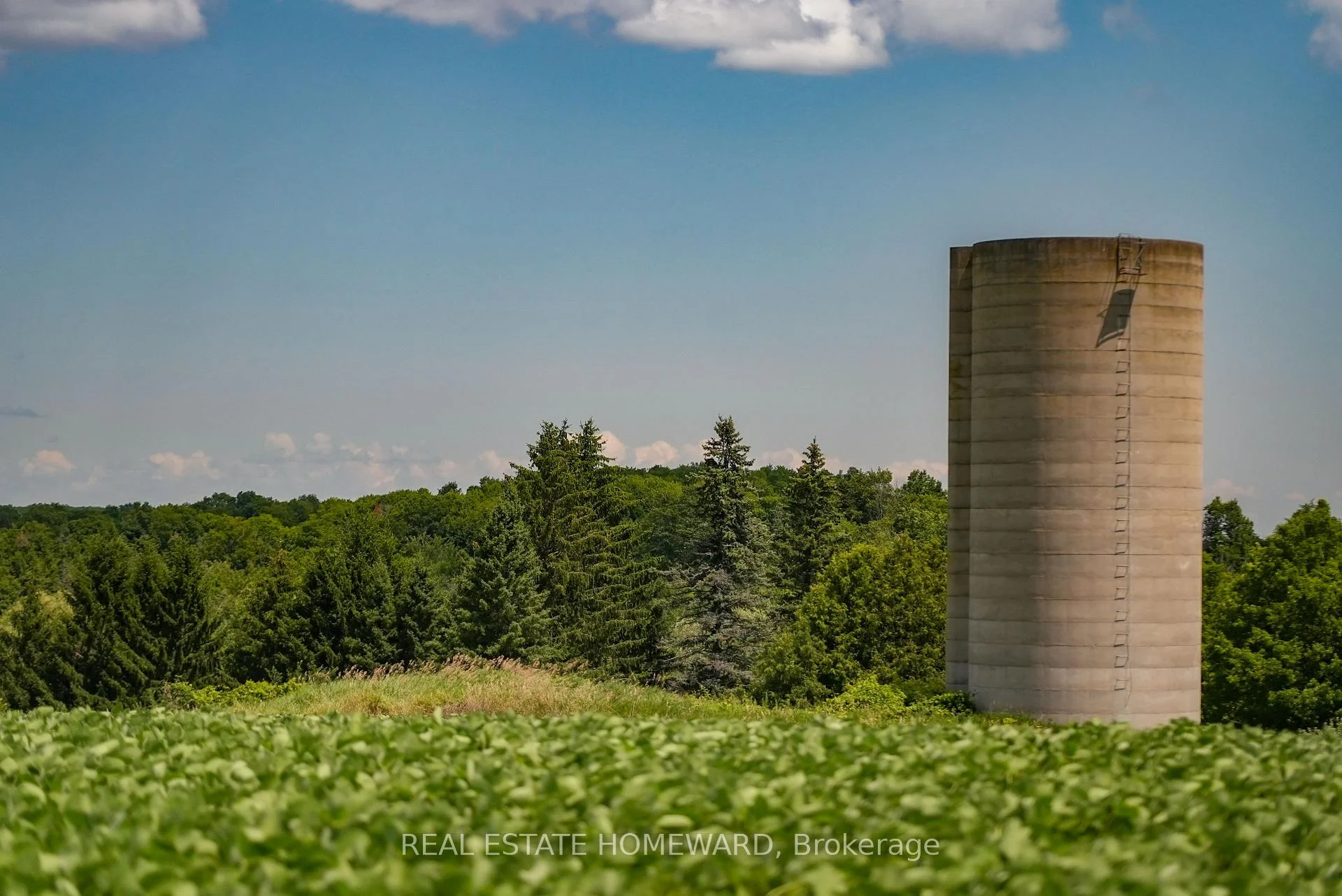 Photo 25 of 937082 Airport Road W, Mulmur, Rural Mulmur — HOMEH