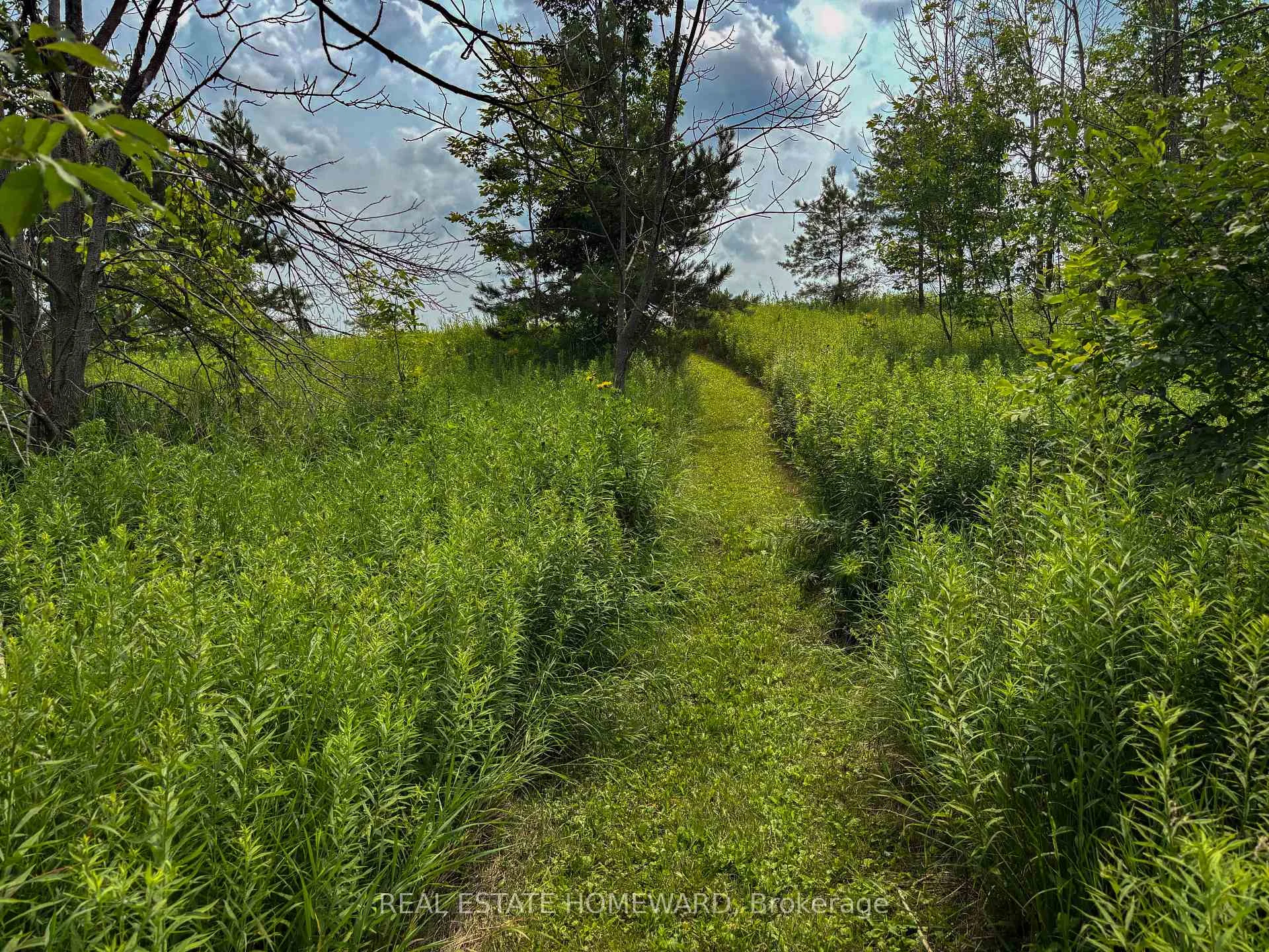 Photo 24 of 937082 Airport Road W, Mulmur, Rural Mulmur — HOMEH