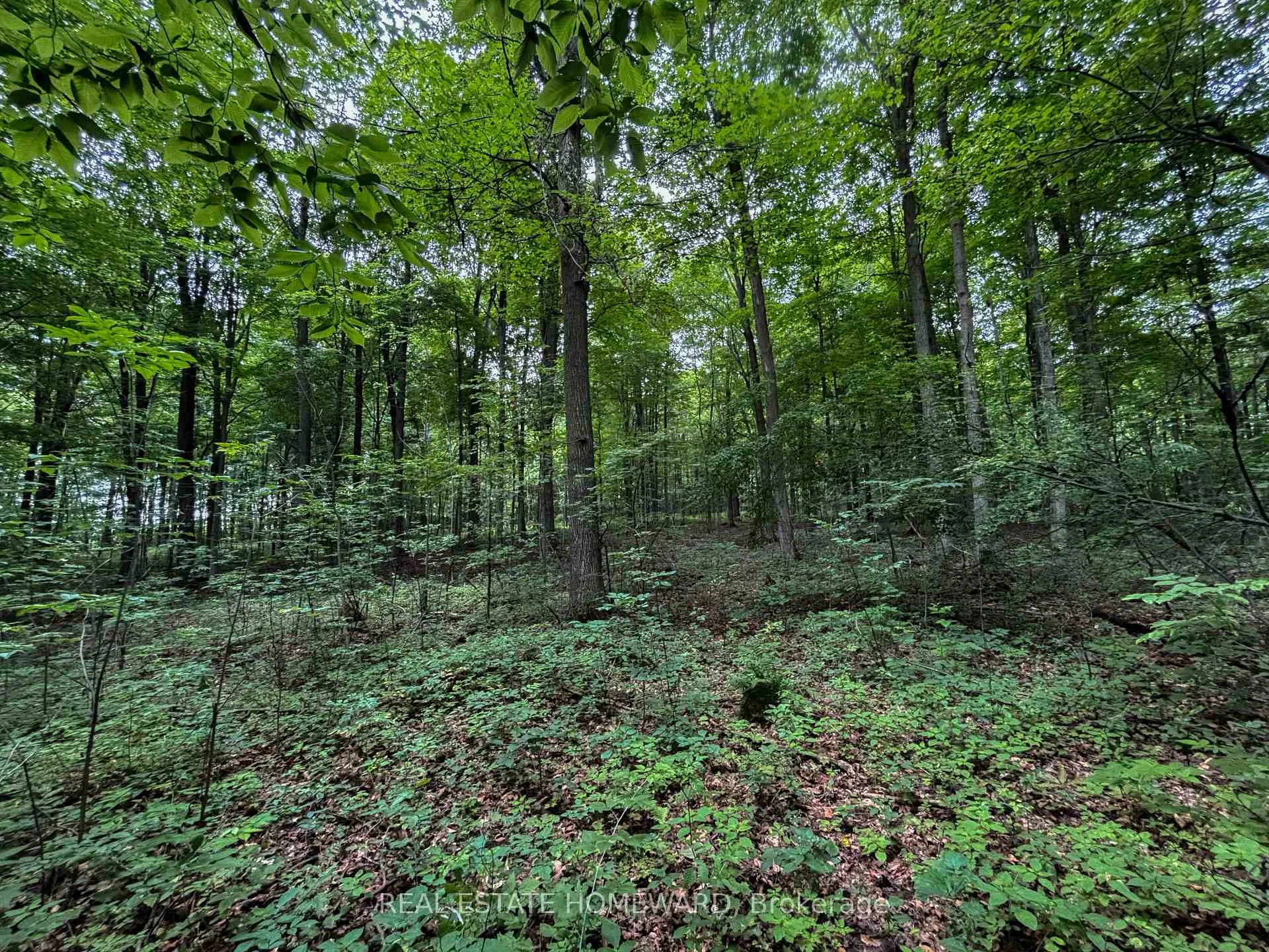 Photo 45 of 937082 Airport Road W, Mulmur, Rural Mulmur — HOMEH