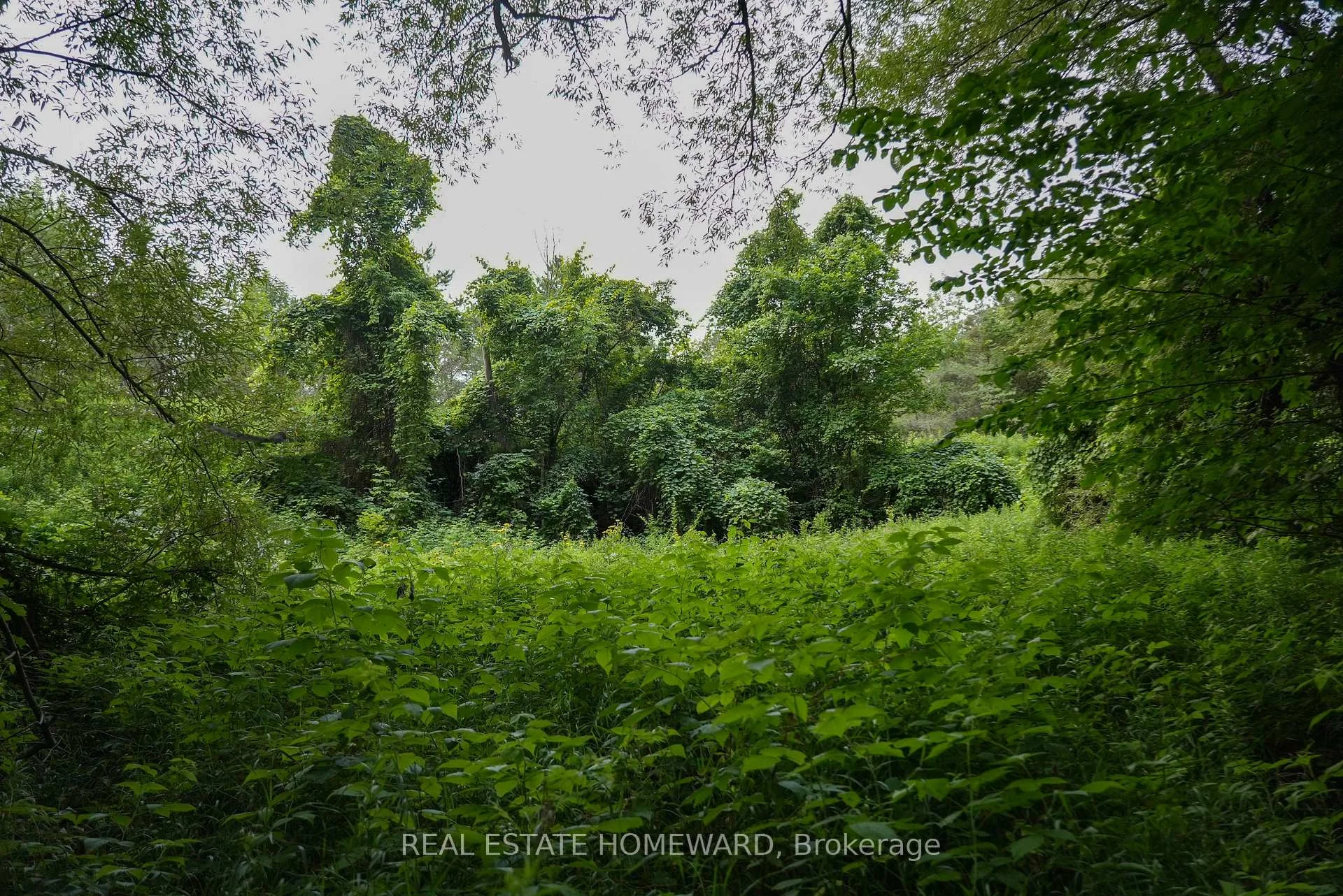 Photo 36 of 937082 Airport Road W, Mulmur, Rural Mulmur — HOMEH