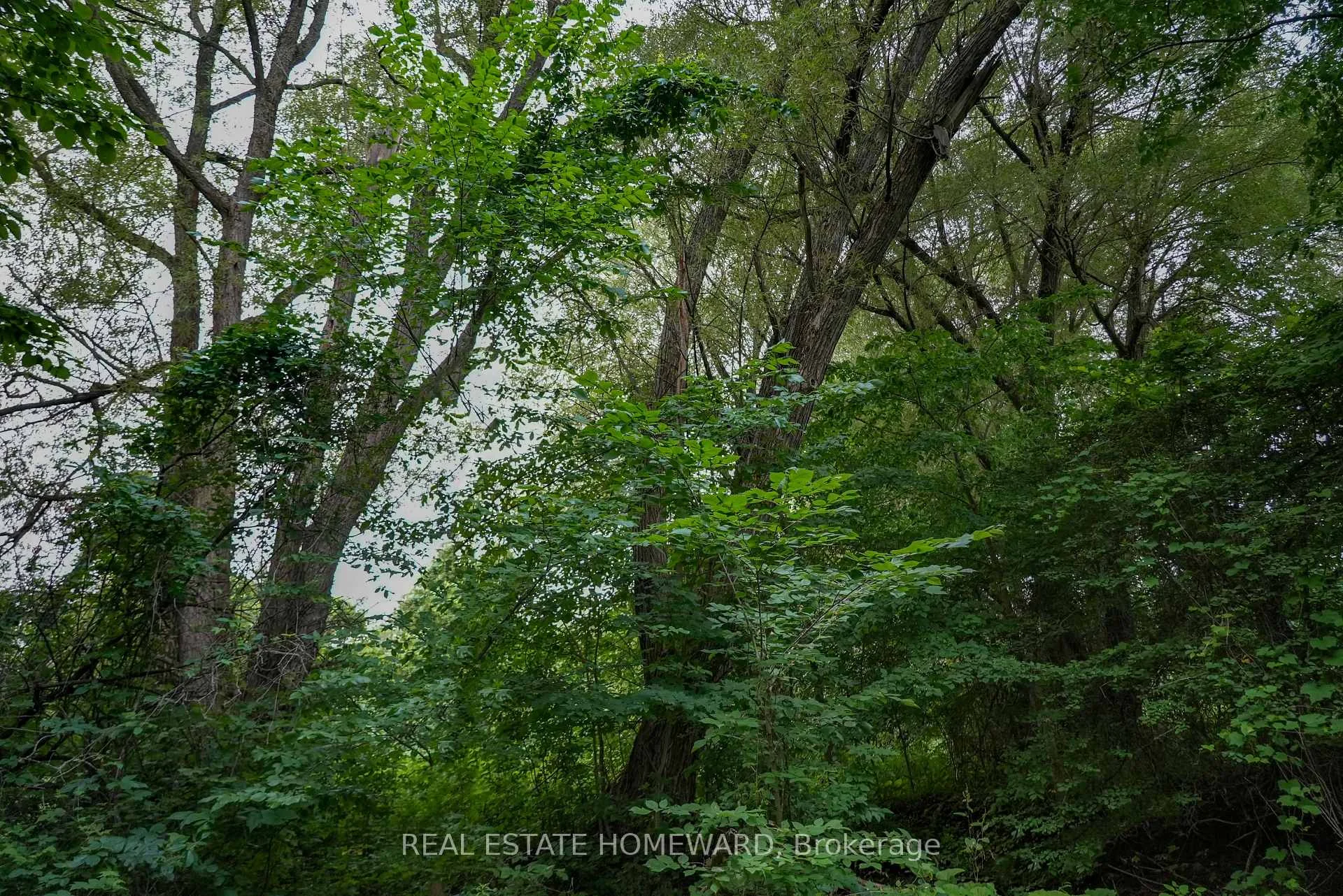 Photo 61 of 937082 Airport Road W, Mulmur, Rural Mulmur — HOMEH