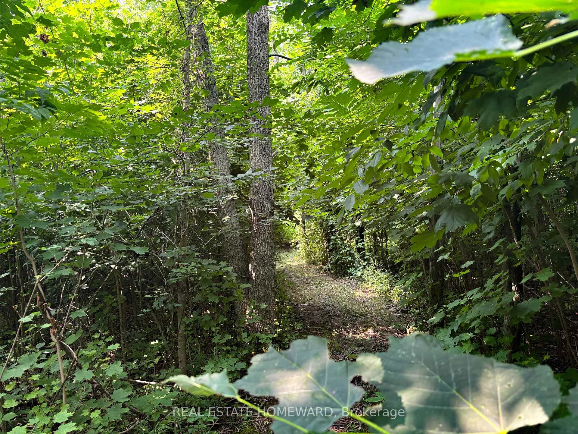 Photo 65 of 937082 Airport Road W, Mulmur, Rural Mulmur — HOMEH