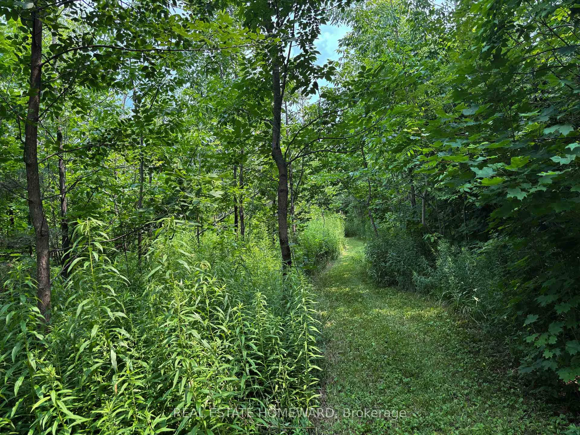 Photo 55 of 937082 Airport Road W, Mulmur, Rural Mulmur — HOMEH