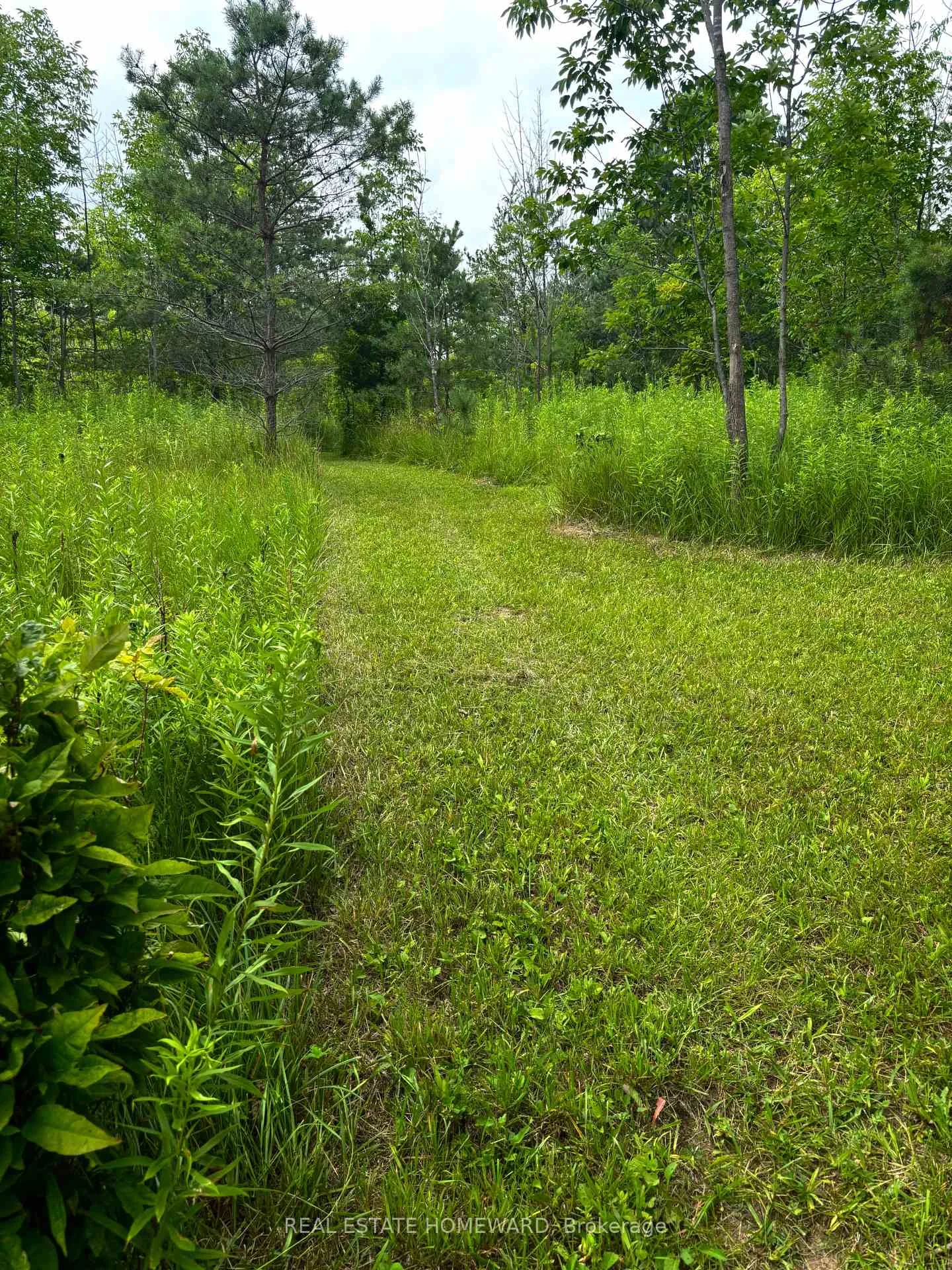 Photo 71 of 937082 Airport Road W, Mulmur, Rural Mulmur — HOMEH