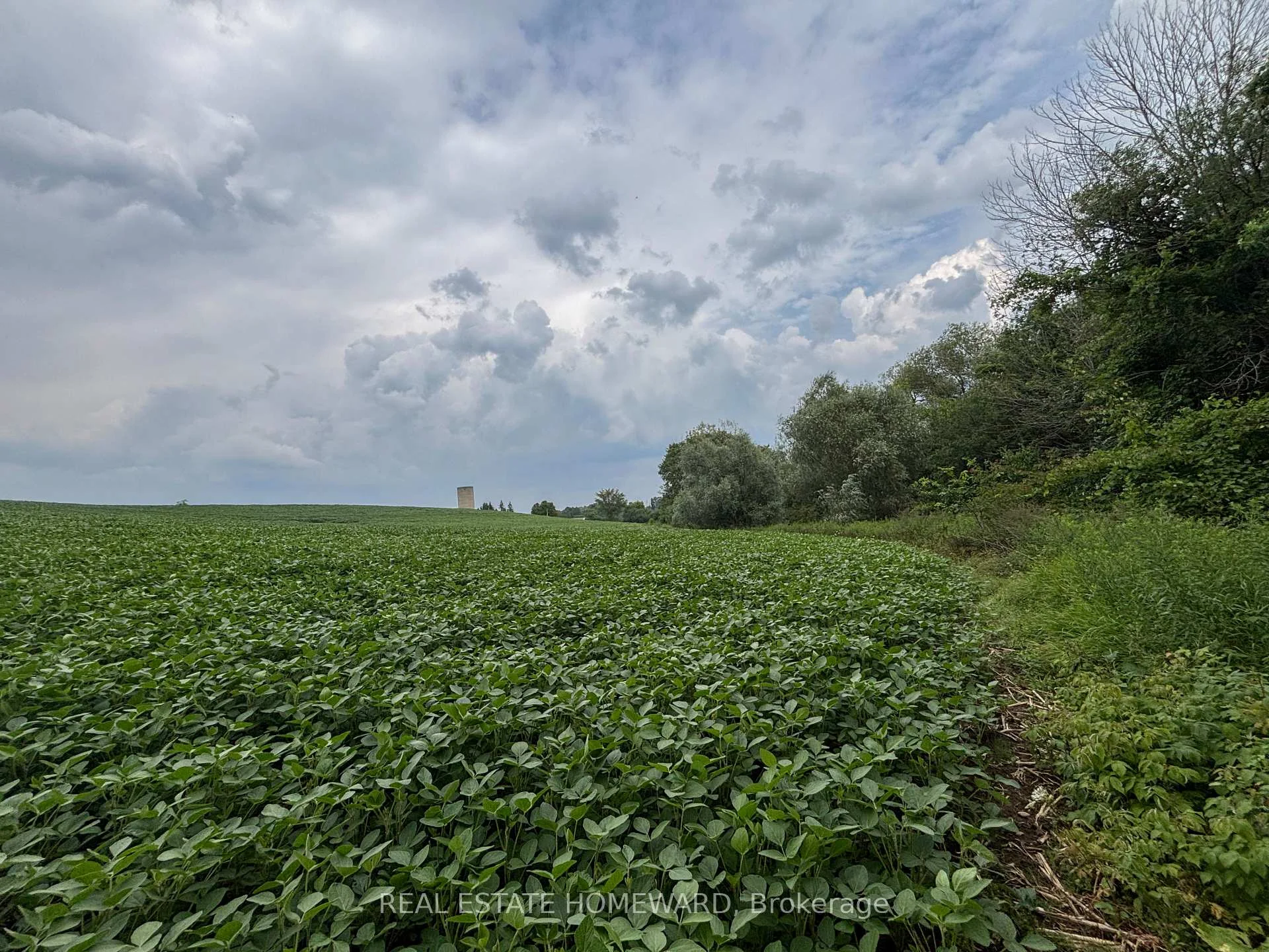 Photo 4 of 937082 Airport Road W, Mulmur, Rural Mulmur — HOMEH