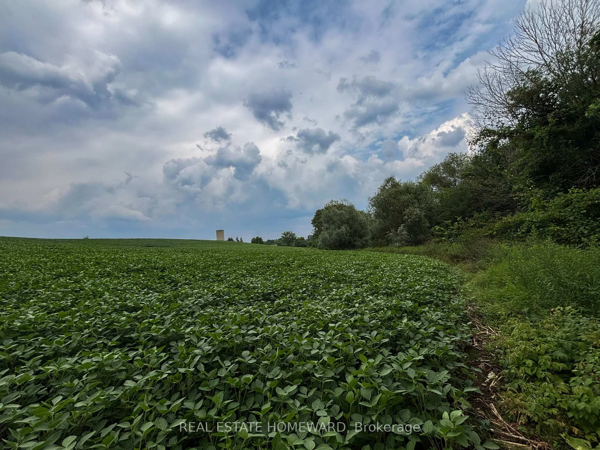 Photo 12 of 937082 Airport Road W, Mulmur, Rural Mulmur — HOMEH