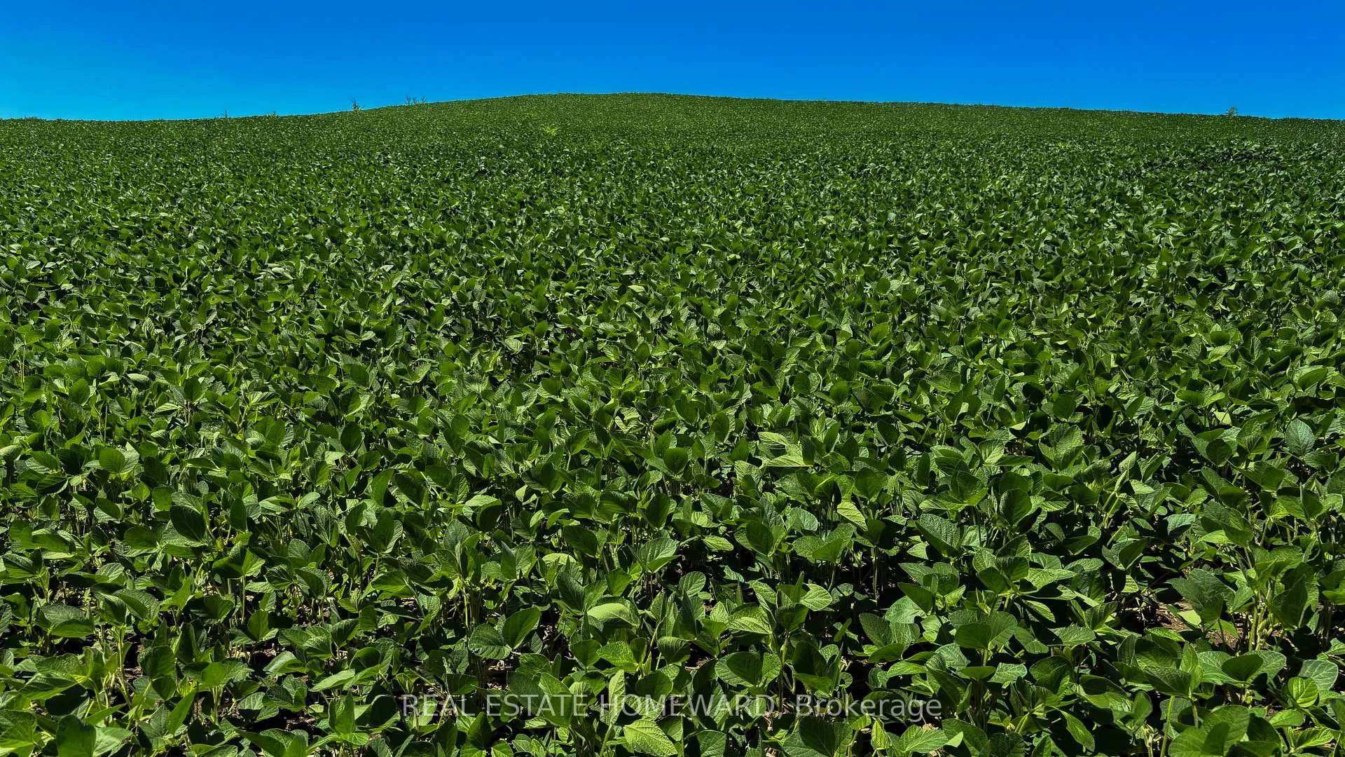 Photo 79 of 937082 Airport Road W, Mulmur, Rural Mulmur — HOMEH