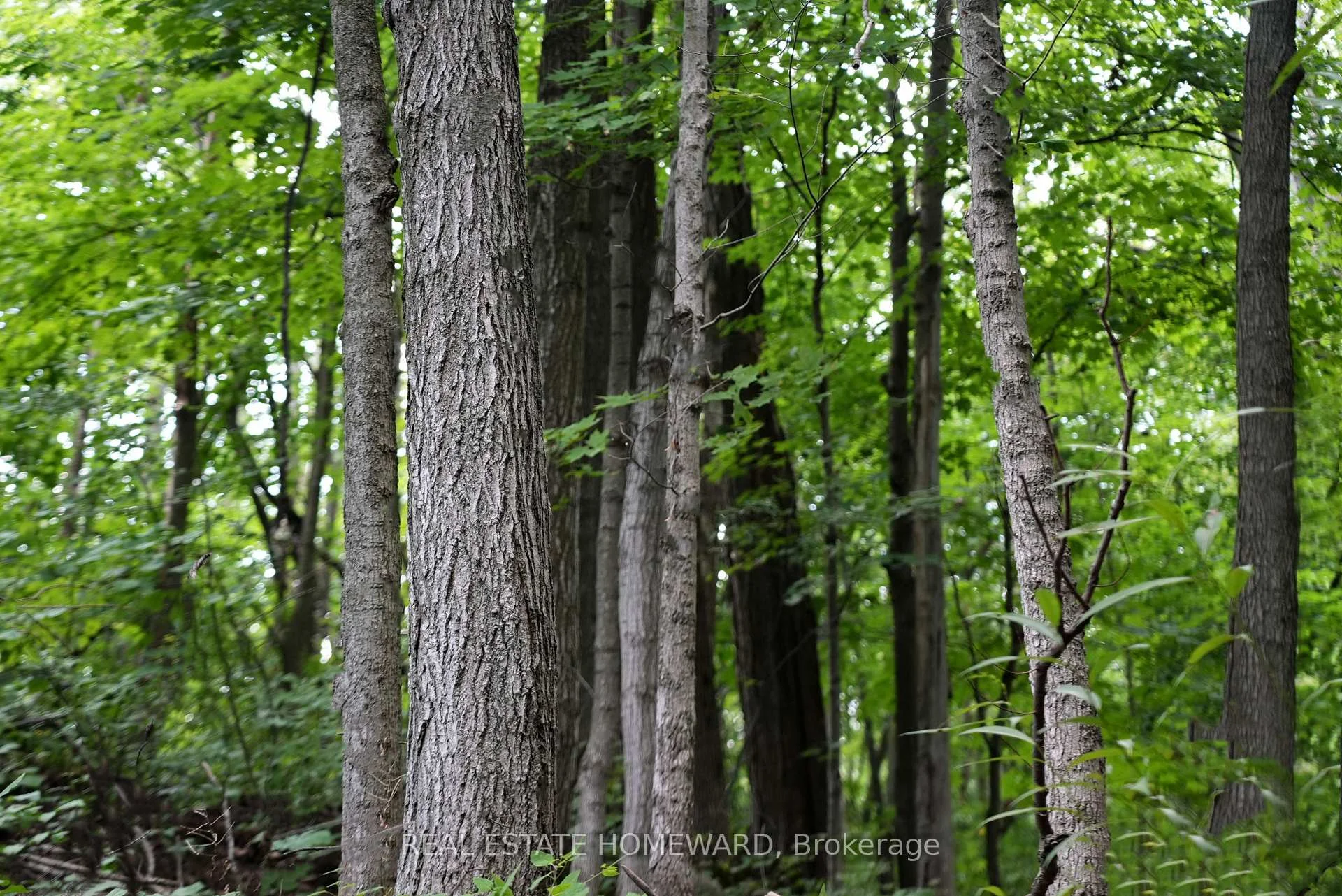 Photo 74 of 937082 Airport Road W, Mulmur, Rural Mulmur — HOMEH