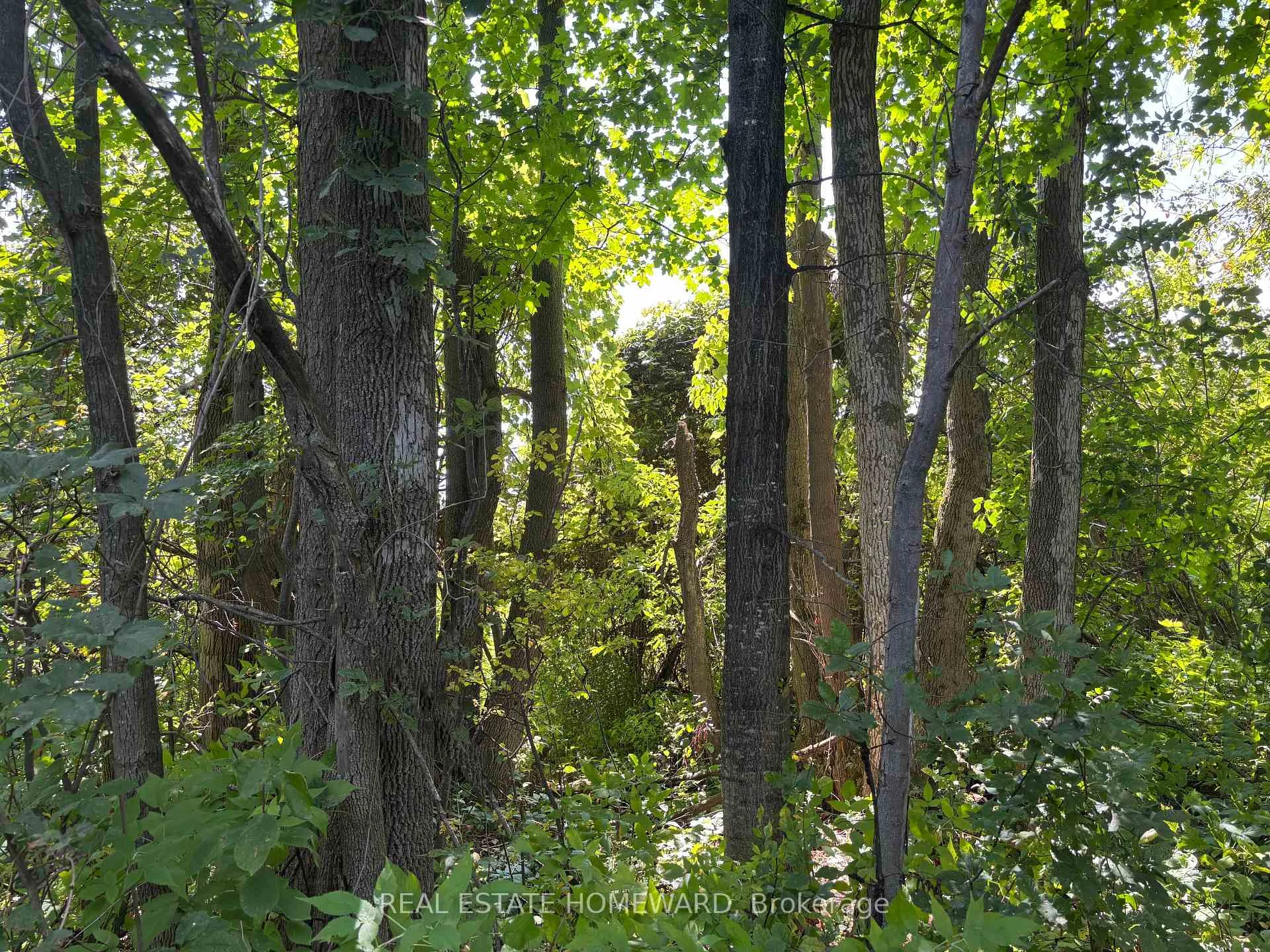 Photo 63 of 937082 Airport Road W, Mulmur, Rural Mulmur — HOMEH