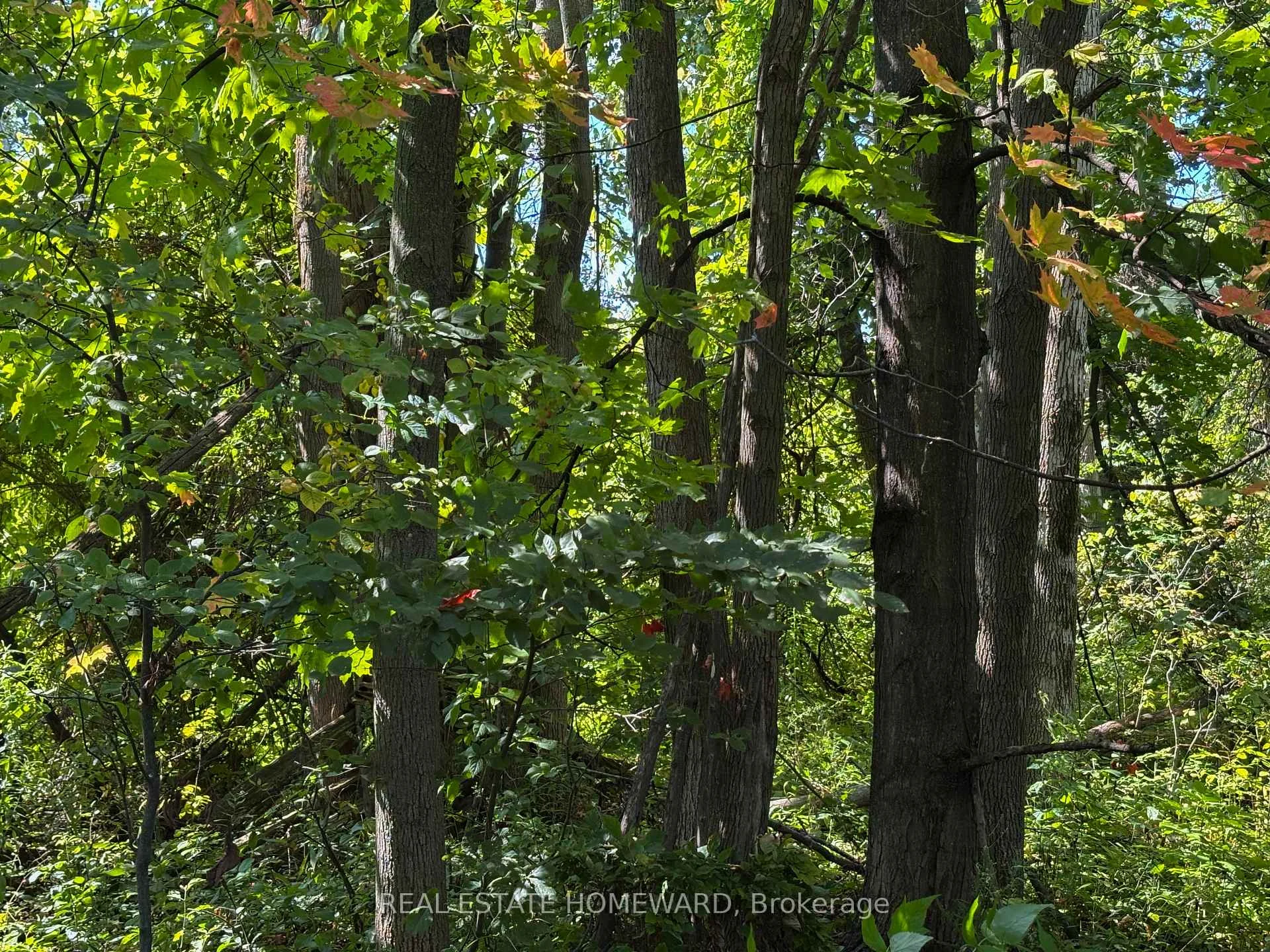 Photo 75 of 937082 Airport Road W, Mulmur, Rural Mulmur — HOMEH