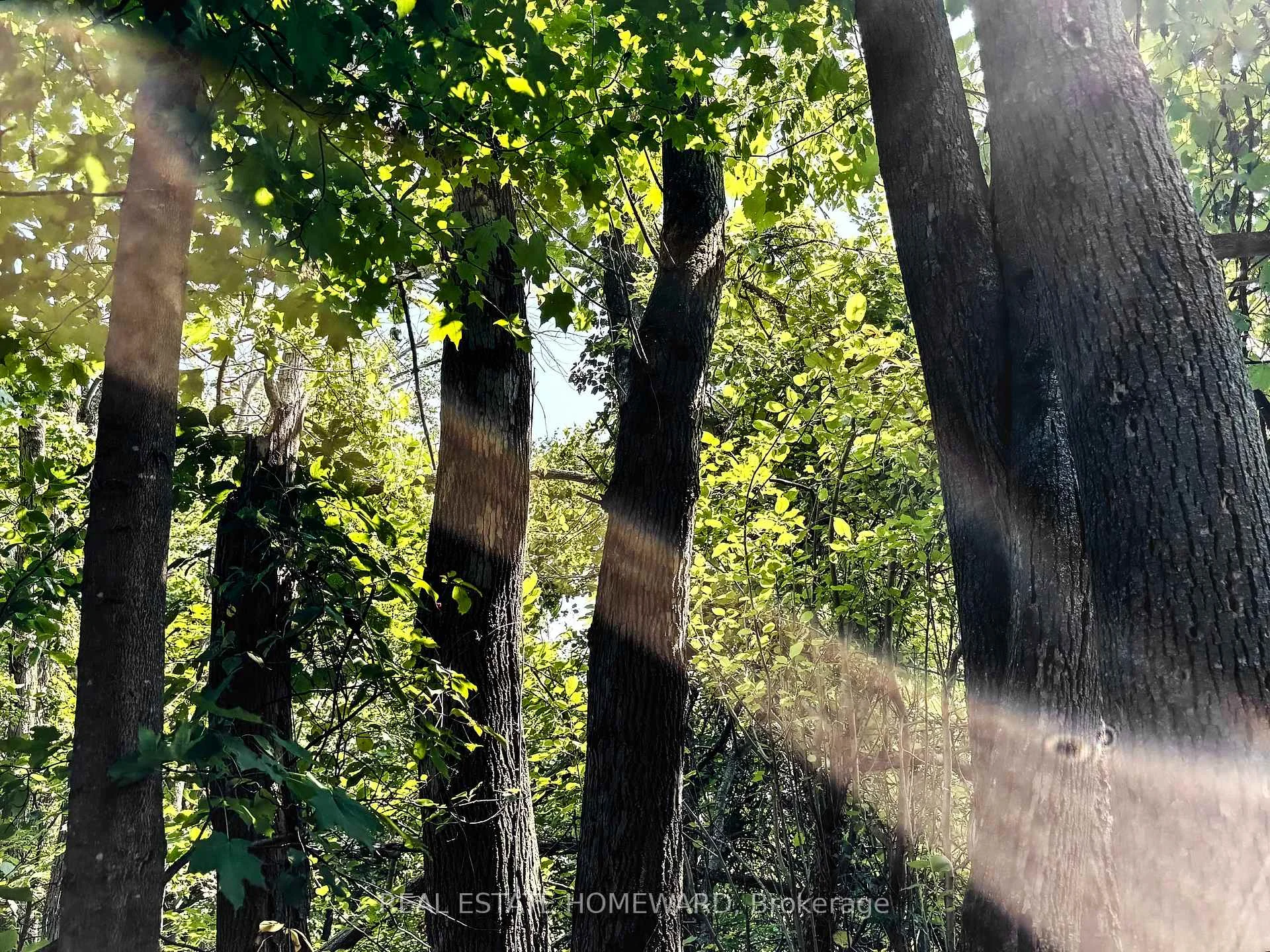 Photo 76 of 937082 Airport Road W, Mulmur, Rural Mulmur — HOMEH