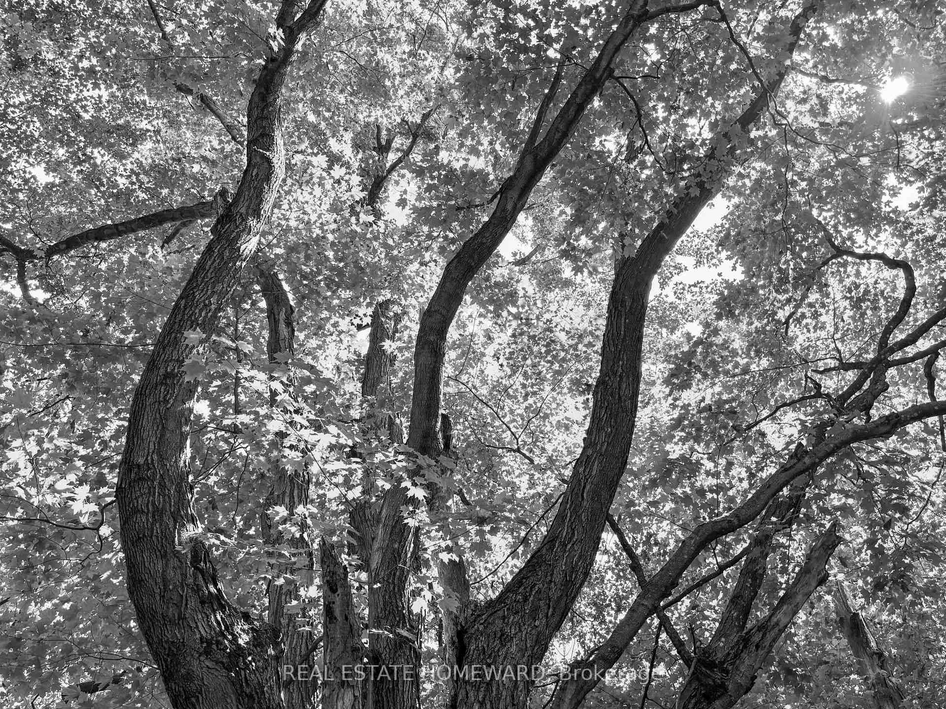 Photo 10 of 937082 Airport Road W, Mulmur, Rural Mulmur — HOMEH