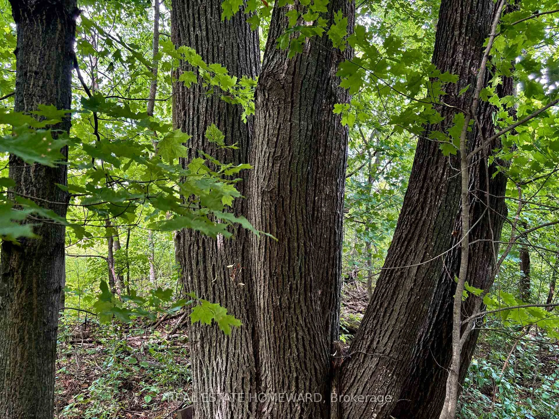 Photo 32 of 937082 Airport Road W, Mulmur, Rural Mulmur — HOMEH