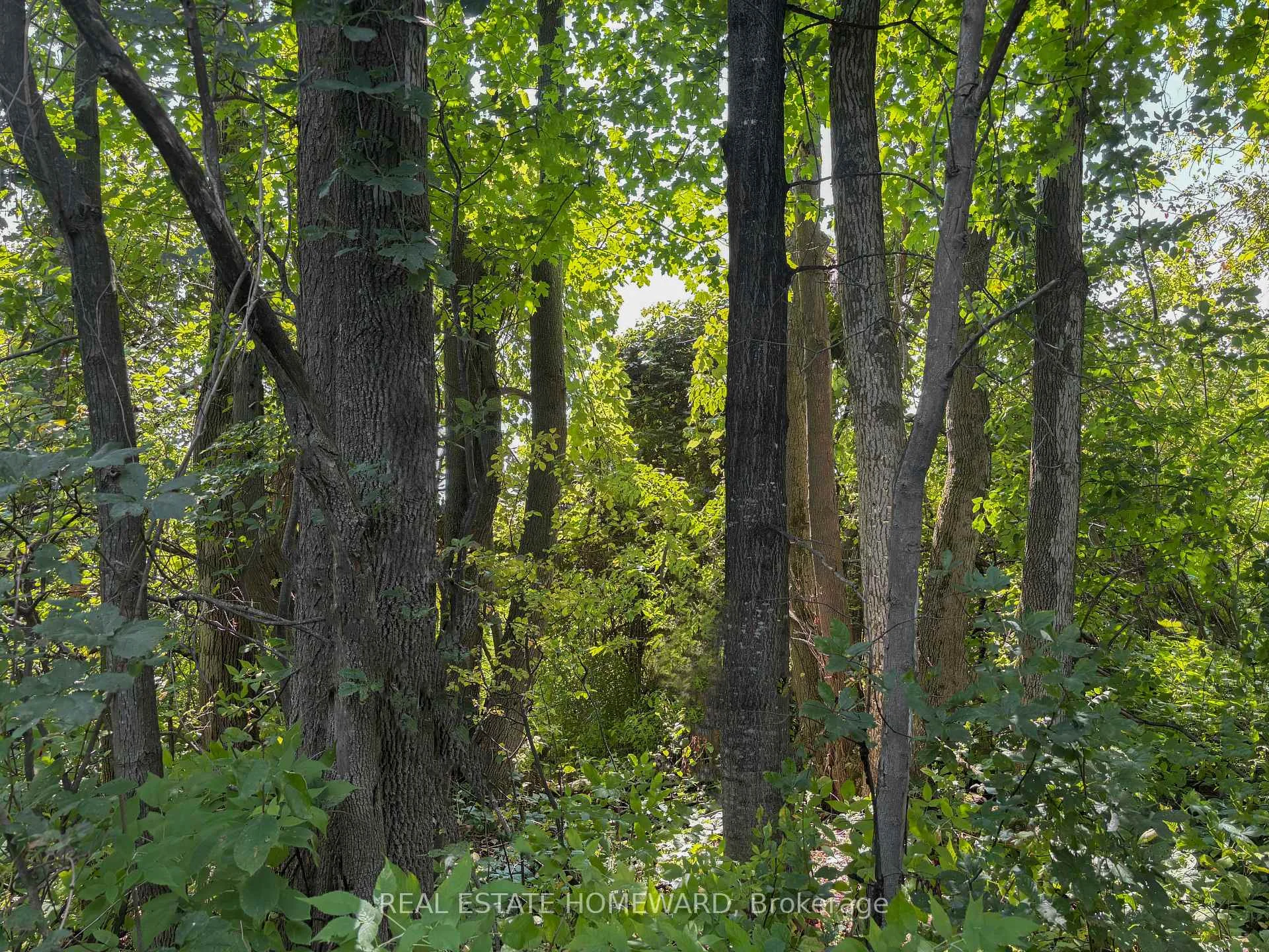 Photo 77 of 937082 Airport Road W, Mulmur, Rural Mulmur — HOMEH