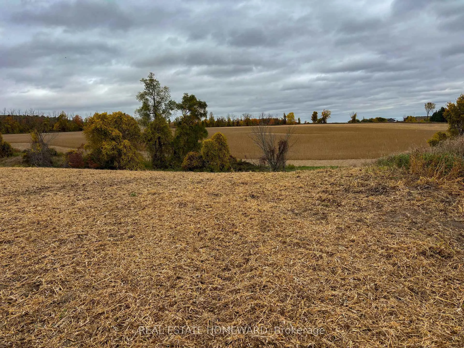 Photo 16 of 937082 Airport Road W, Mulmur, Rural Mulmur — HOMEH