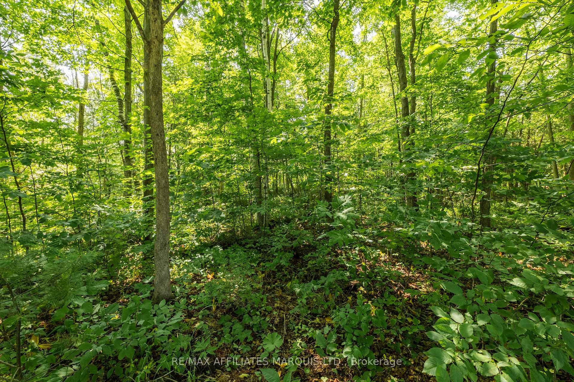 Photo 47 of 19458 Caber Road, South Glengarry, South Glengarry (Charlottenburgh) Twp — HOMEH