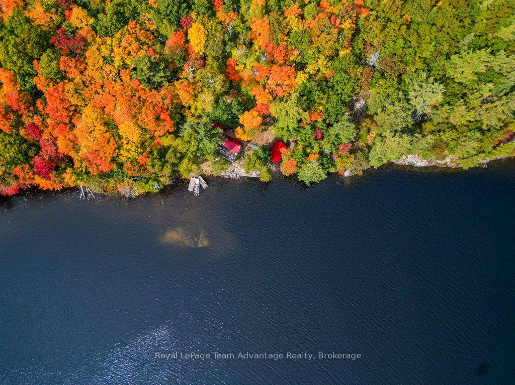 Photo 8 of 9600 Part 4 Harris Lake Water, Whitestone — HOMEH