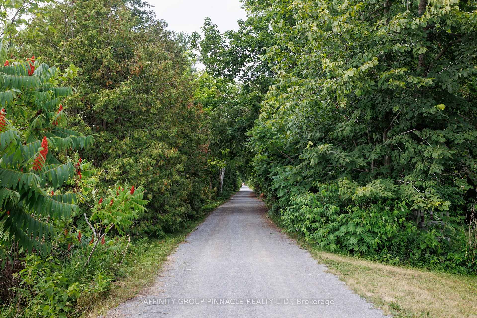 Photo 48 of 183 Louisa Street, Kawartha Lakes, Fenelon Falls — HOMEH
